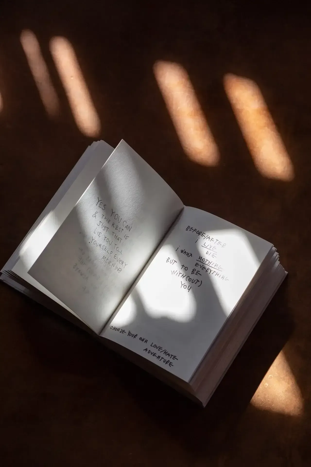 Further Hotel, Asia — Open journal with handwritten text bathed in warm window light, creating soft shadows on dark surface.