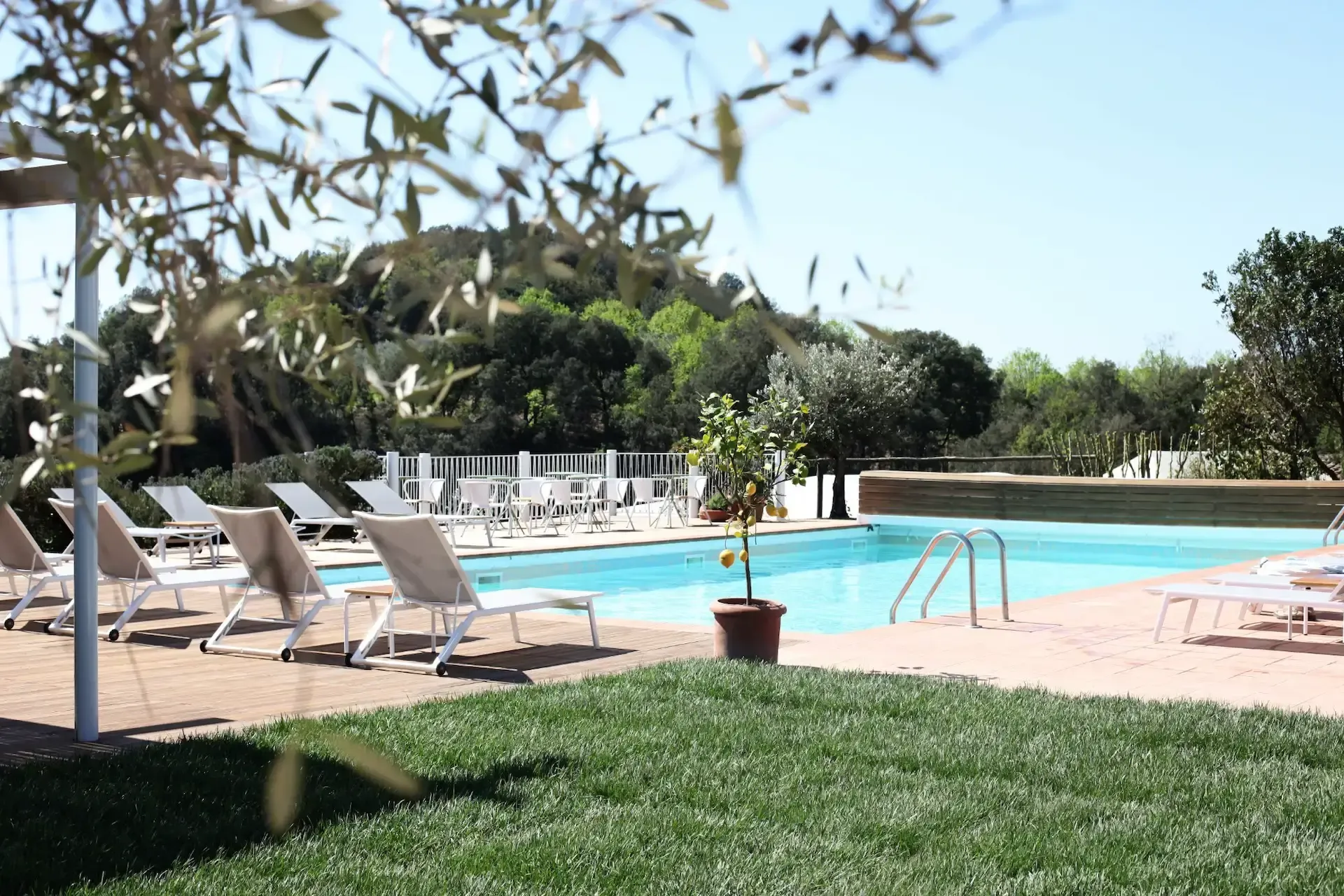 Villa Lena, Europe — Sunlit poolside terrace with cream loungers, clear blue water, manicured lawn, and Mediterranean vegetation beyond white railings.