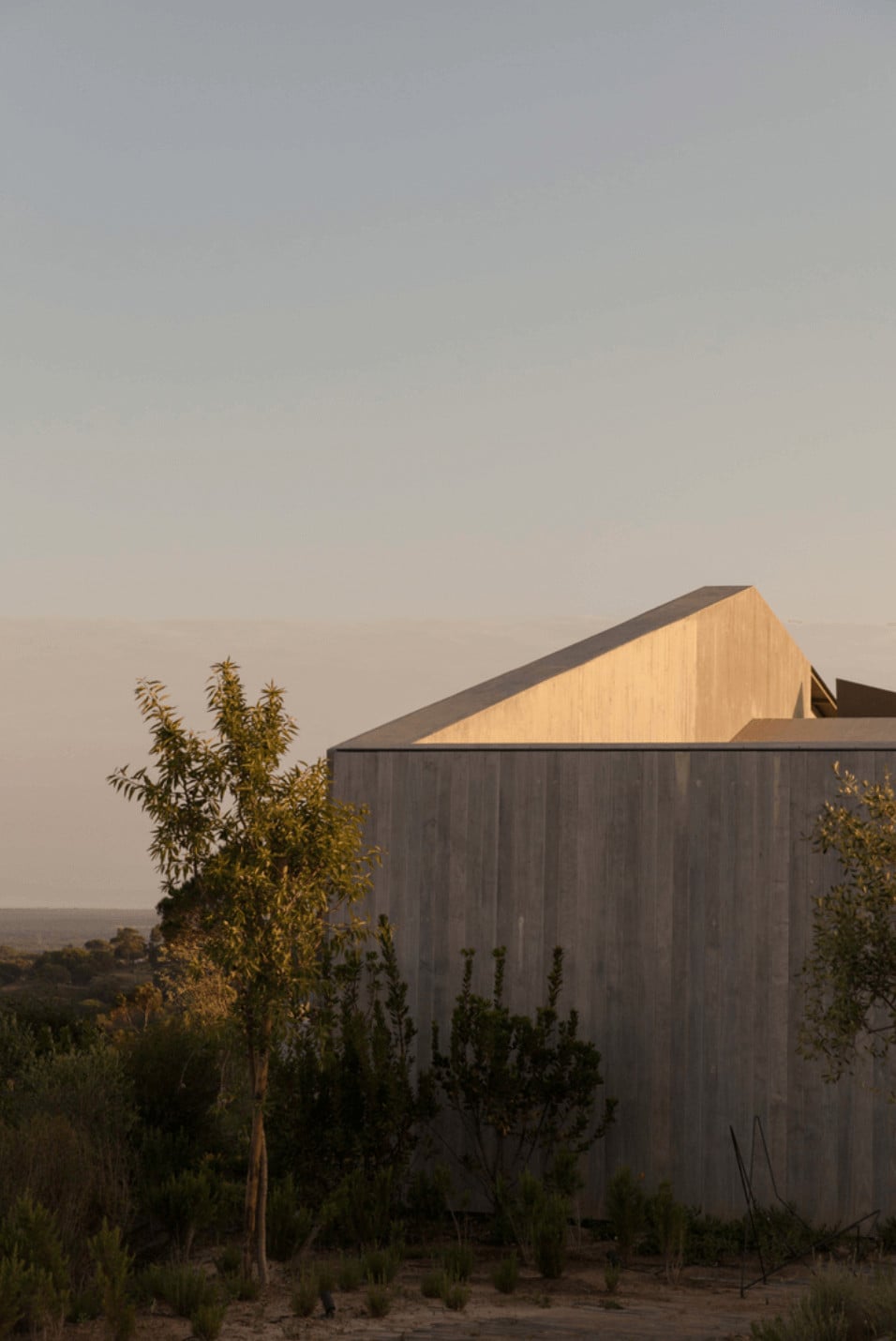 Pa.te.os, Europe — Modernist concrete structure with angled wooden roof catching golden sunset light, surrounded by native vegetation in misty landscape.
