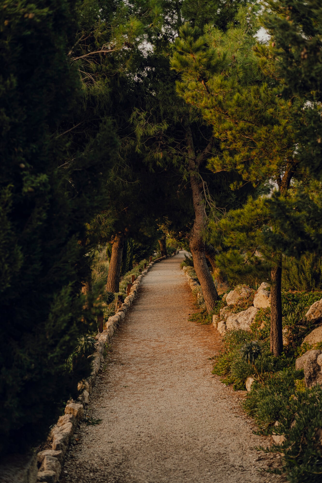 Susafa, Italy — Tree-lined gravel pathway with stone walls and cypress trees creating a shaded alley with dappled light filtering through canopy.