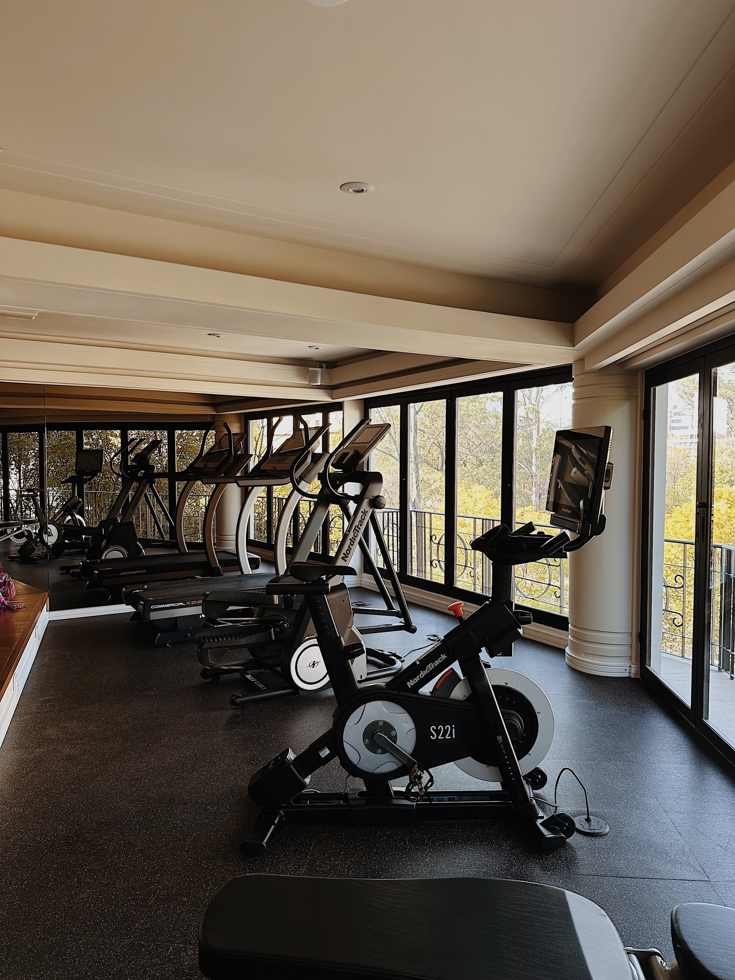 Campos Polanco, Mexico — Modern fitness studio with floor-to-ceiling windows, stationary bikes, elliptical machines, and panoramic forest views from a sunlit penthouse gym.