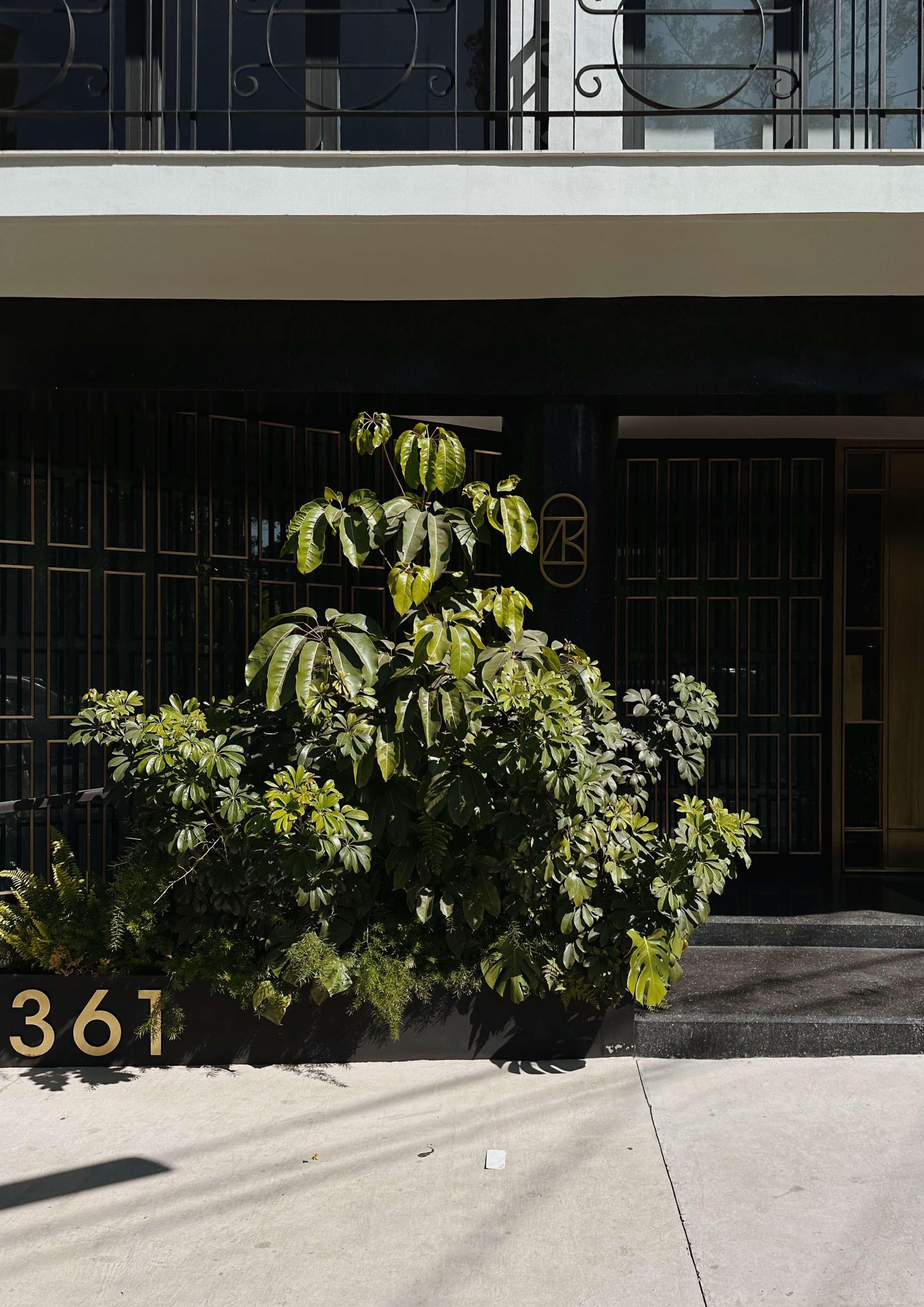 Campos Polanco, Mexico — Black storefront with gold address numbers, lush green plants backlit in afternoon sun, modernist facade with decorative ironwork above.