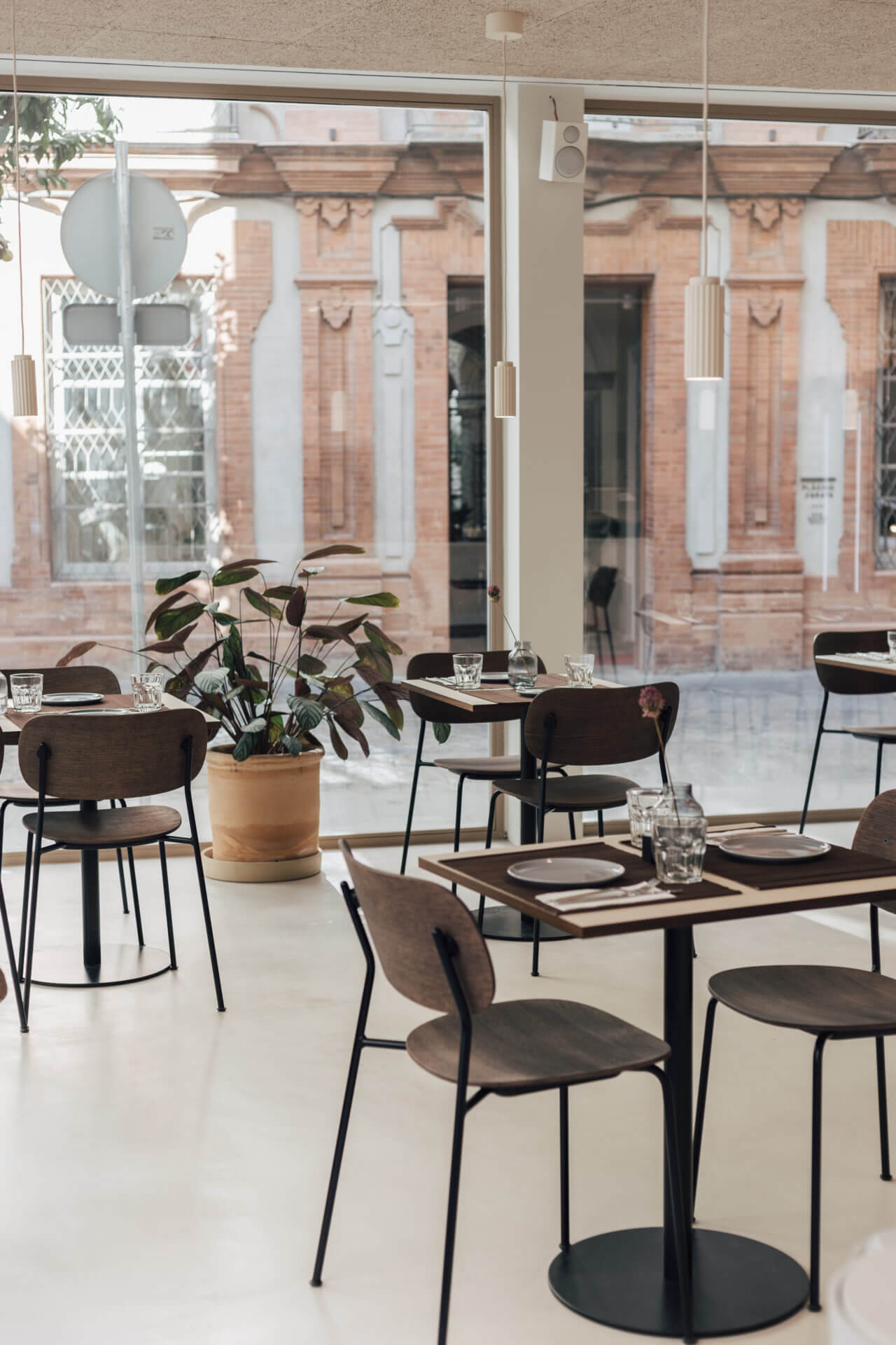 Plácido y Grata, Europe — Minimalist dining room with black chairs, wooden tables, potted plant, floor-to-ceiling windows overlooking classical brick facade, natural light, contemporary hospitality design.