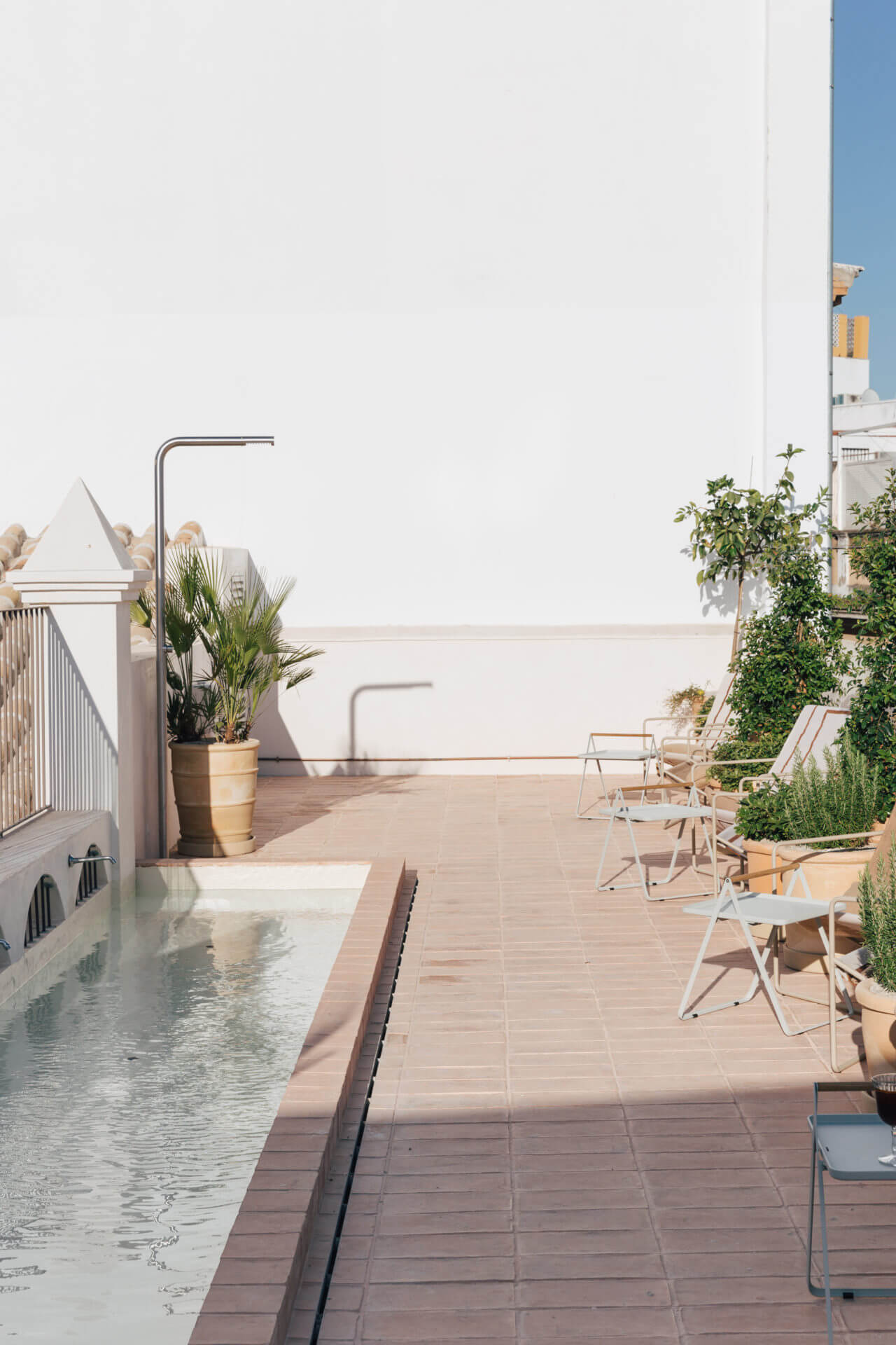 Plácido y Grata, Europe — Rooftop terrace with minimalist loungers, potted palms, infinity pool, and white architectural walls under clear sky.