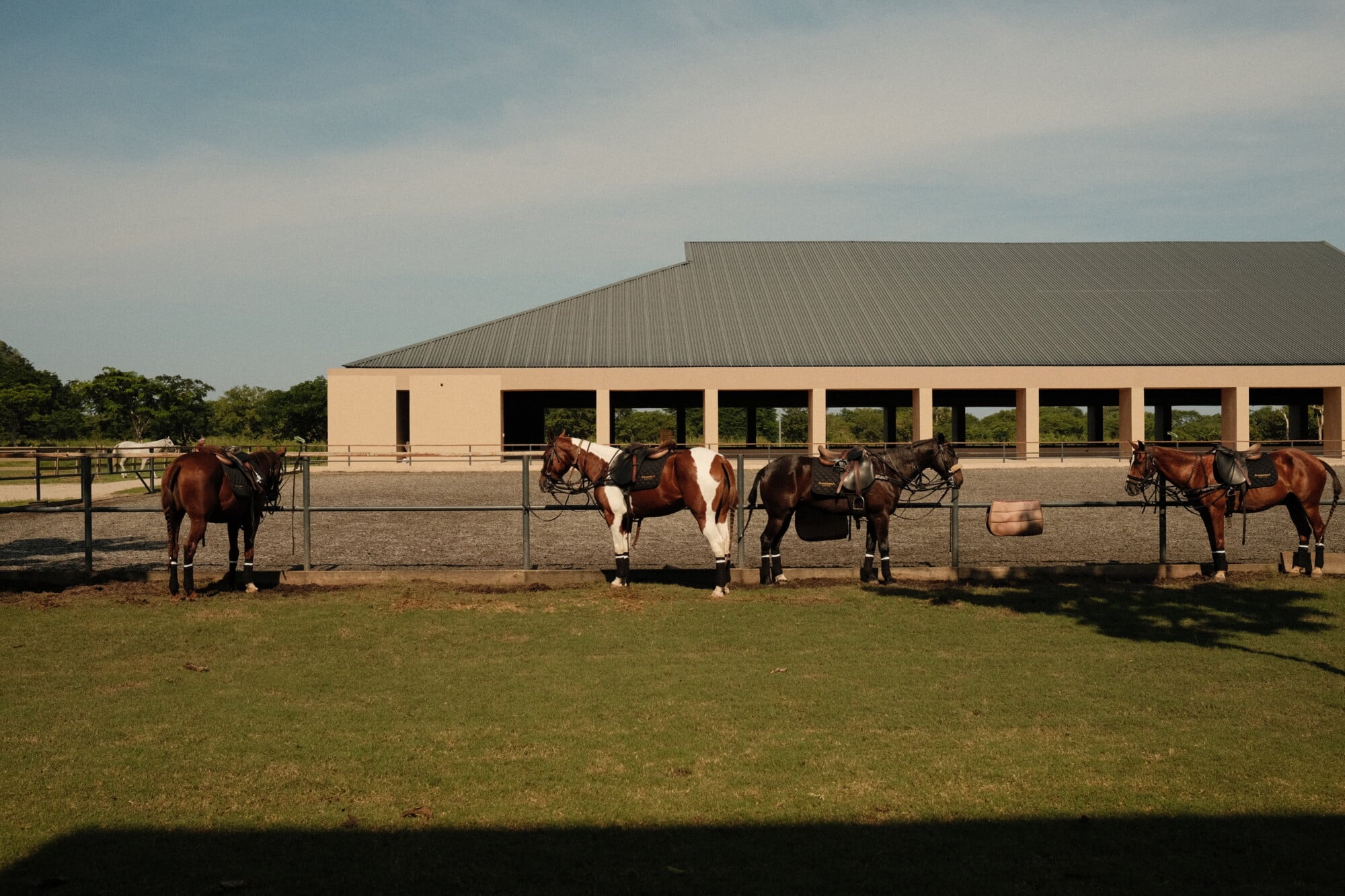Polo & Equestrian Club, Mexico — Saddled horses lined at rail fence with modern pavilion, manicured grounds, and tree line under clear sky.