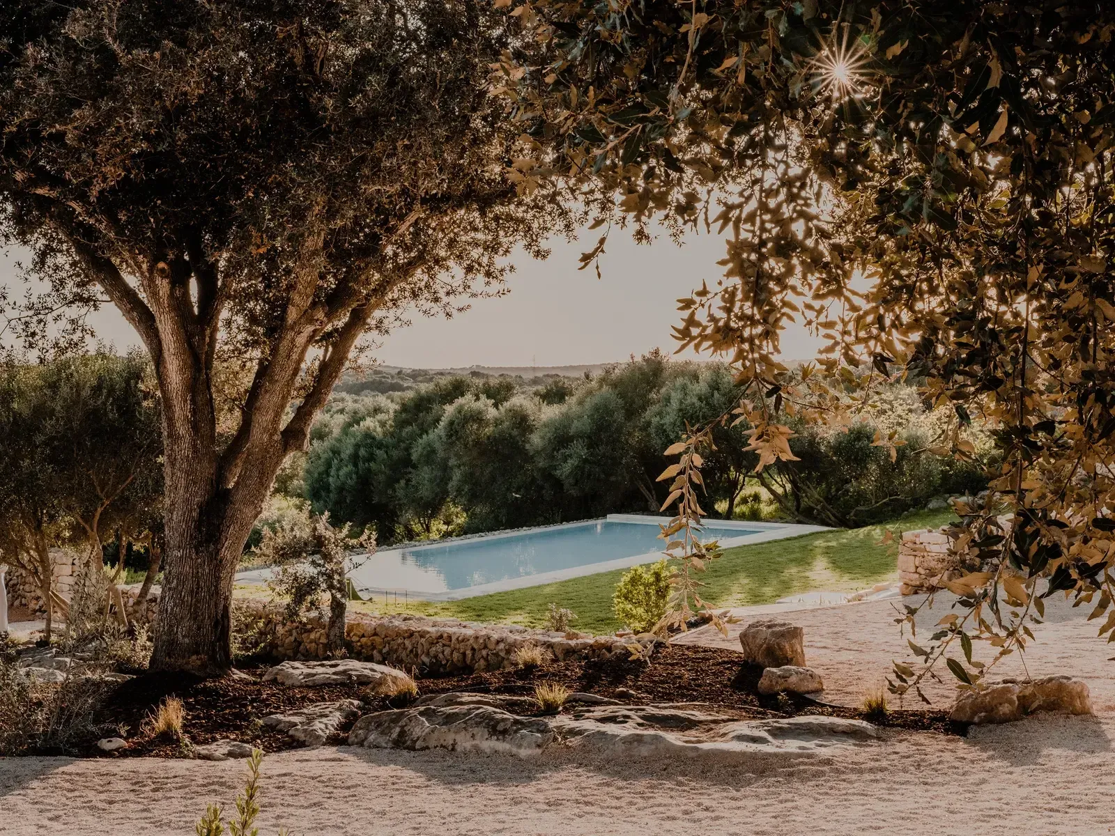 Amagatay, Balearic Islands — Rectangular pool framed by ancient olive trees and rolling Mediterranean landscape at golden hour.