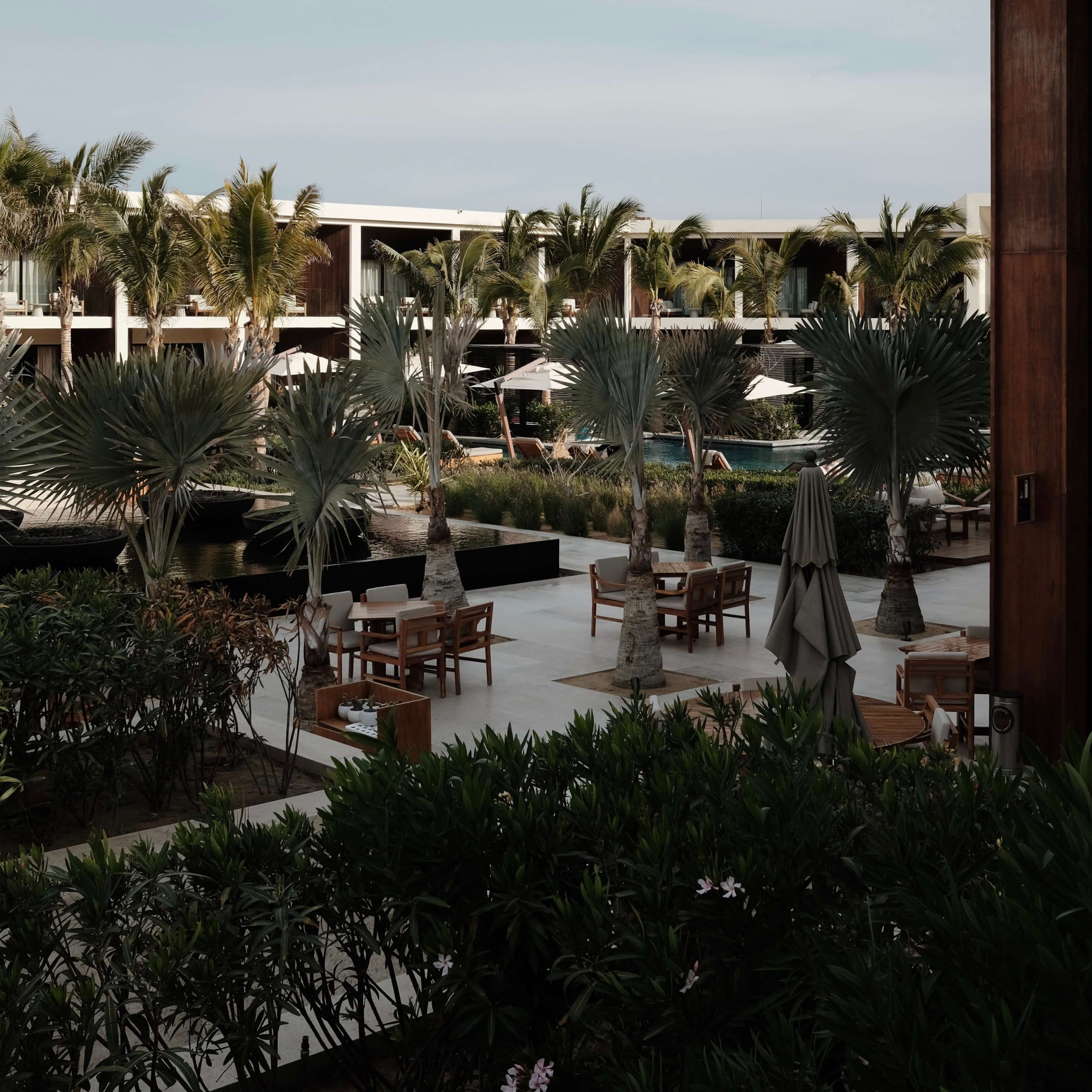 Nobu Los Cabos, Mexico — Contemporary courtyard with palm trees, wooden furniture, gray umbrellas, and modernist architecture overlooking pool and ocean.