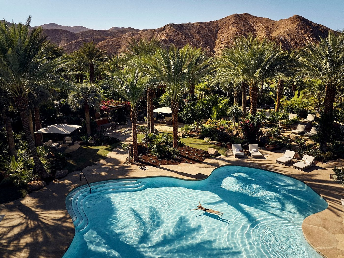 Sensei Porcupine Creek, North America — Desert resort pool with sculptural edge, palm grove, loungers, and rocky mountains under clear sky.