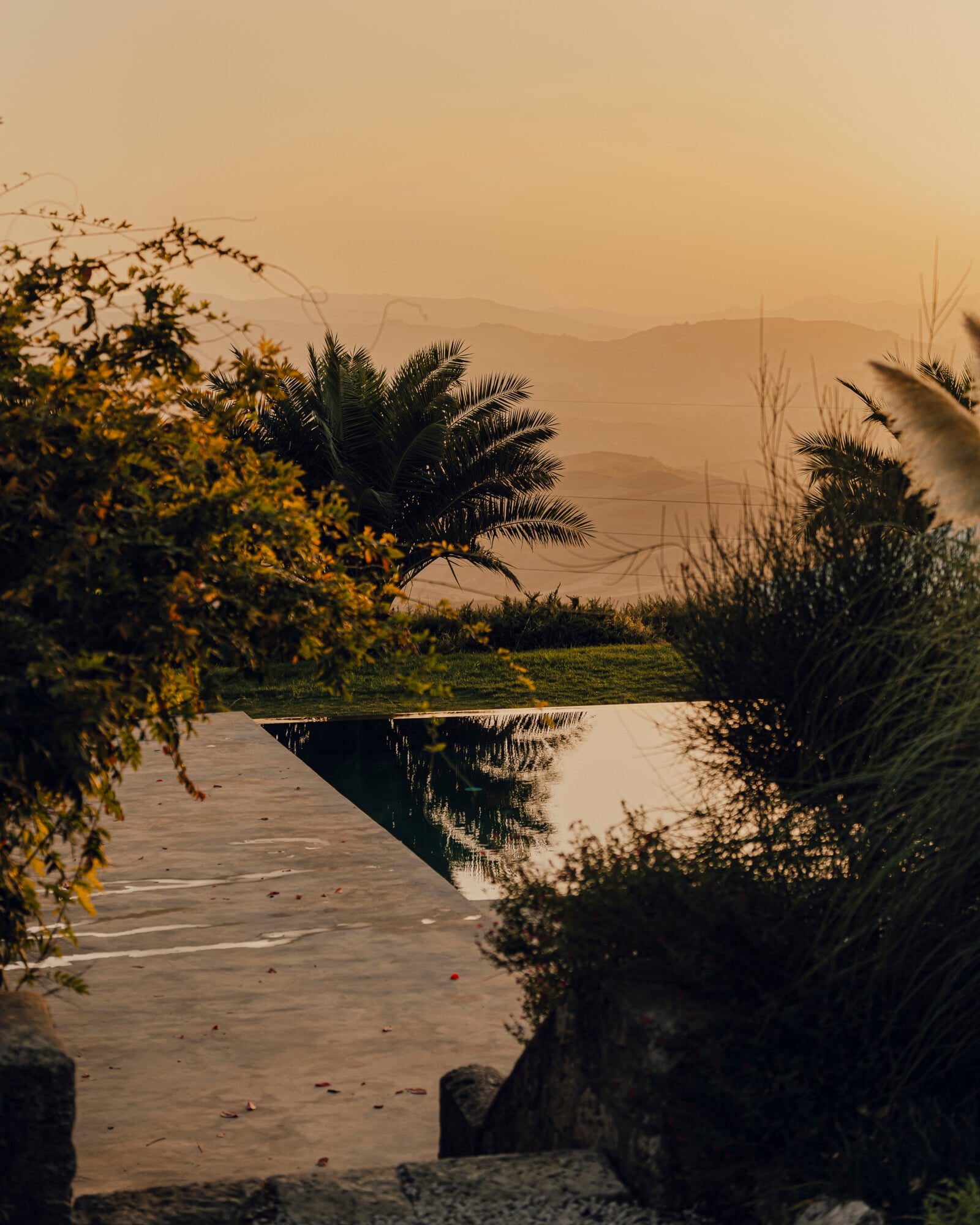 Susafa, Italy — Palm trees and golden light reflected in still water, misty mountains beyond, hazy golden hour landscape with lush vegetation framing tranquil pond.