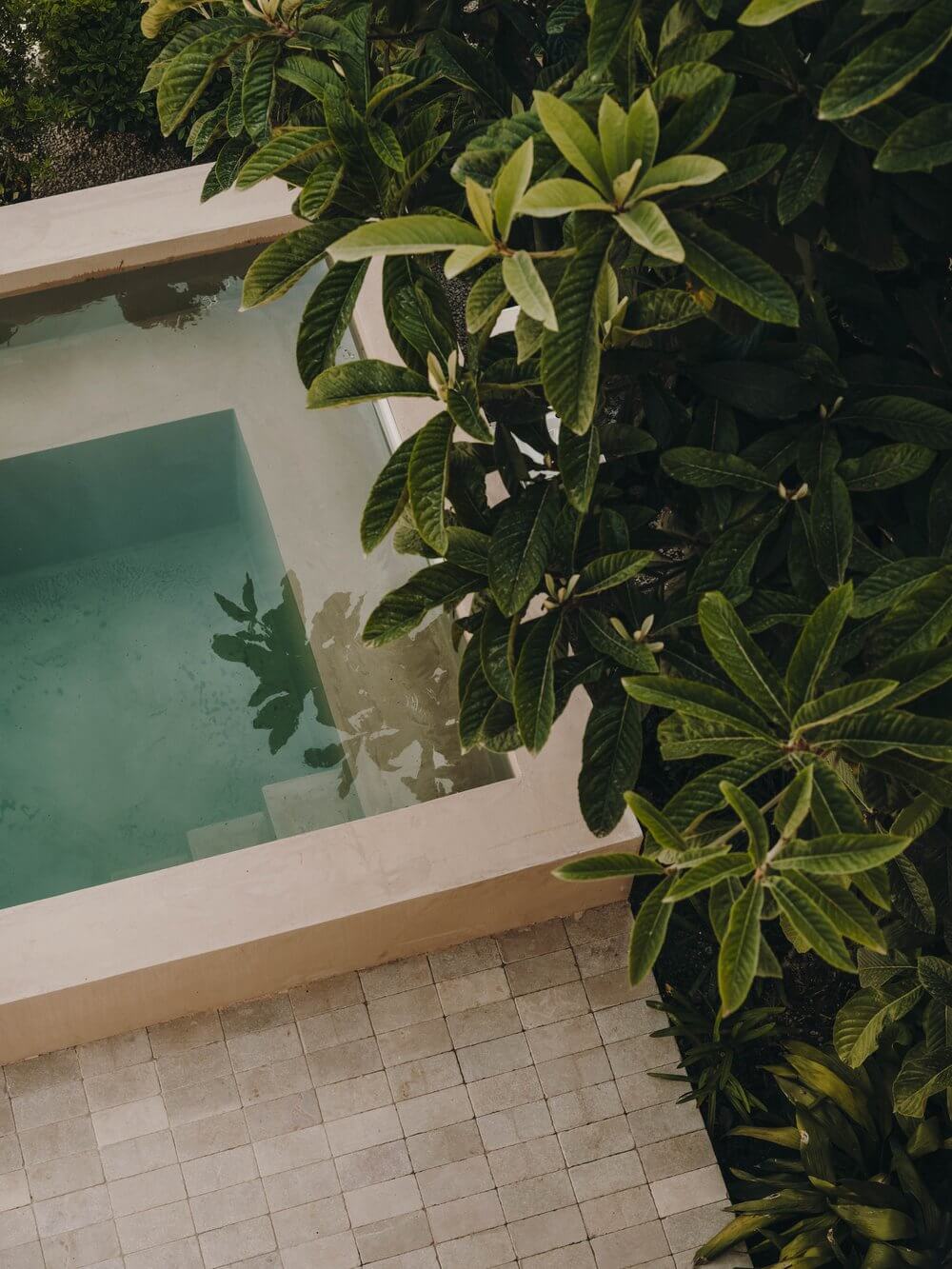 Casa Soleto, Europe — Overhead view of turquoise pool edge with terracotta tiles and lush tropical foliage casting shadows, minimalist luxury architecture.