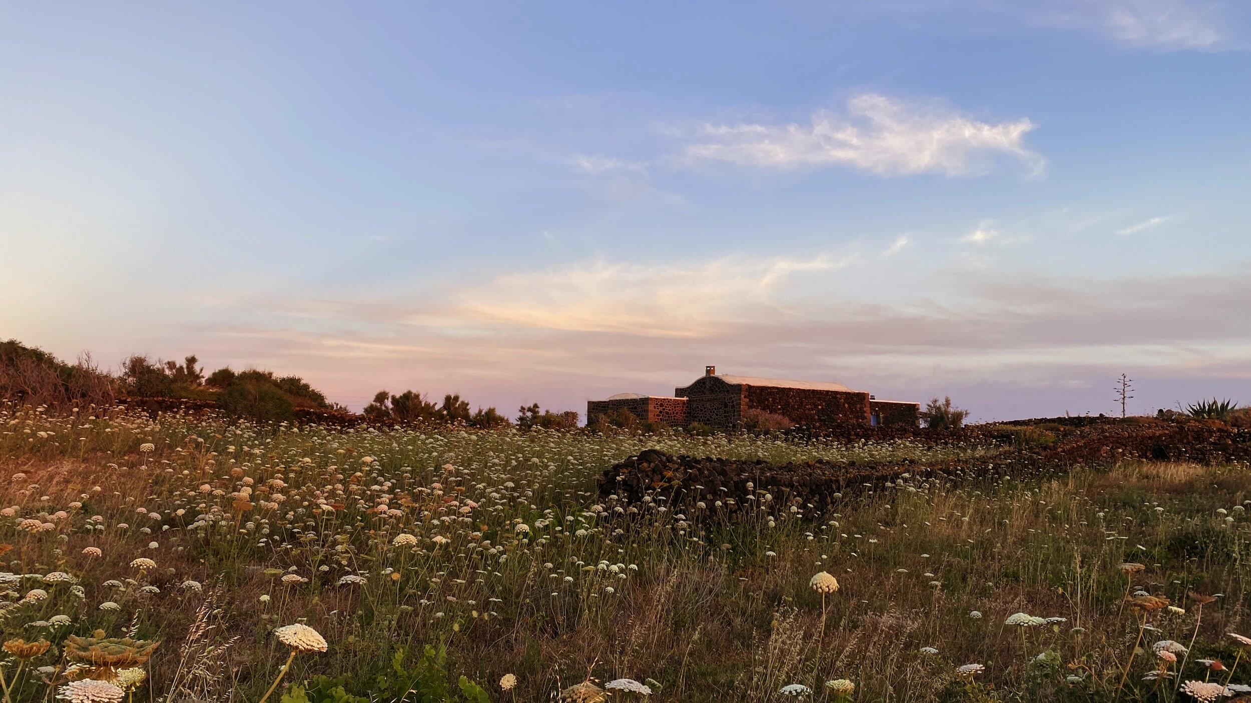 Parco Dei Sesi, Europe — Stone farmhouse at dusk across wildflower meadow with cream-colored blooms, warm golden light, rustic architecture in natural landscape.