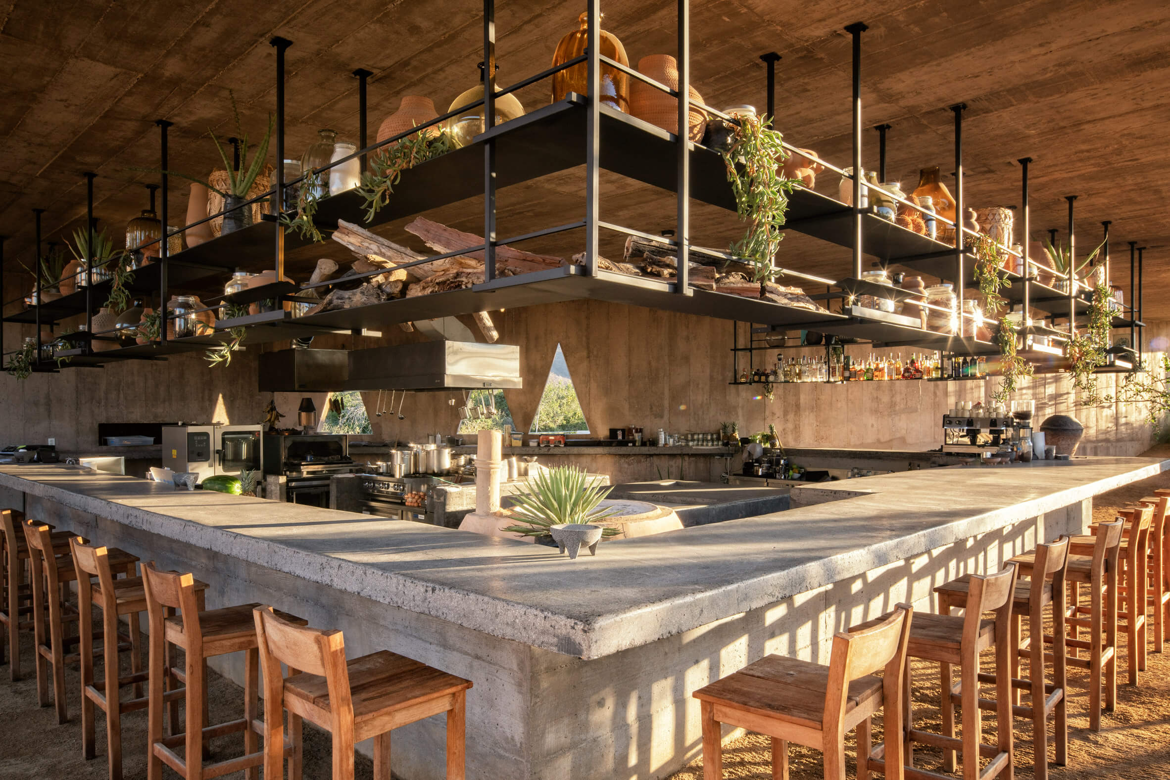 Paradero Todos Santos, Mexico — Concrete island bar with timber seating, suspended shelving with plants, and dramatic wood-ceiling interior flooded with natural light.