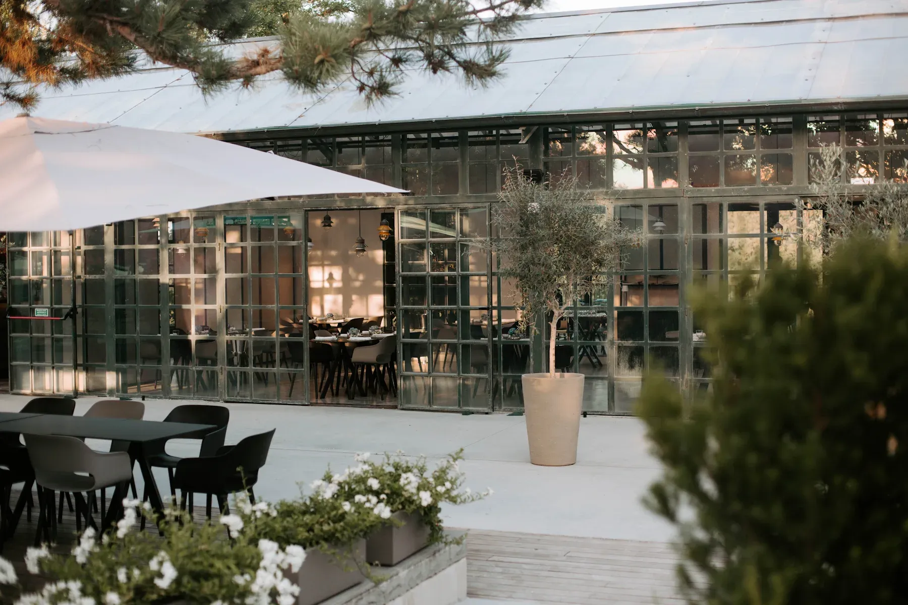 Roncolo 1888, Europe — Modern glass pavilion with green-framed doors opening onto courtyard, white sail shade, potted olive tree, dining visible inside, afternoon light casting geometric shadows.