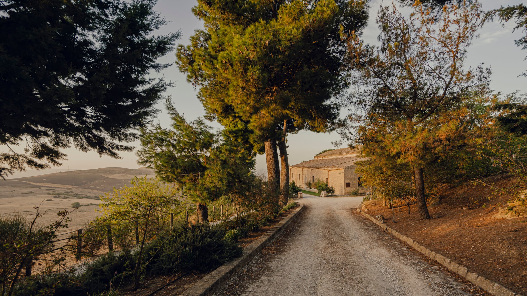 Susafa, Italy — Cypress-lined gravel drive approaching stone villa at golden hour, rolling Tuscan hills beyond, warm autumn light filtering through trees.