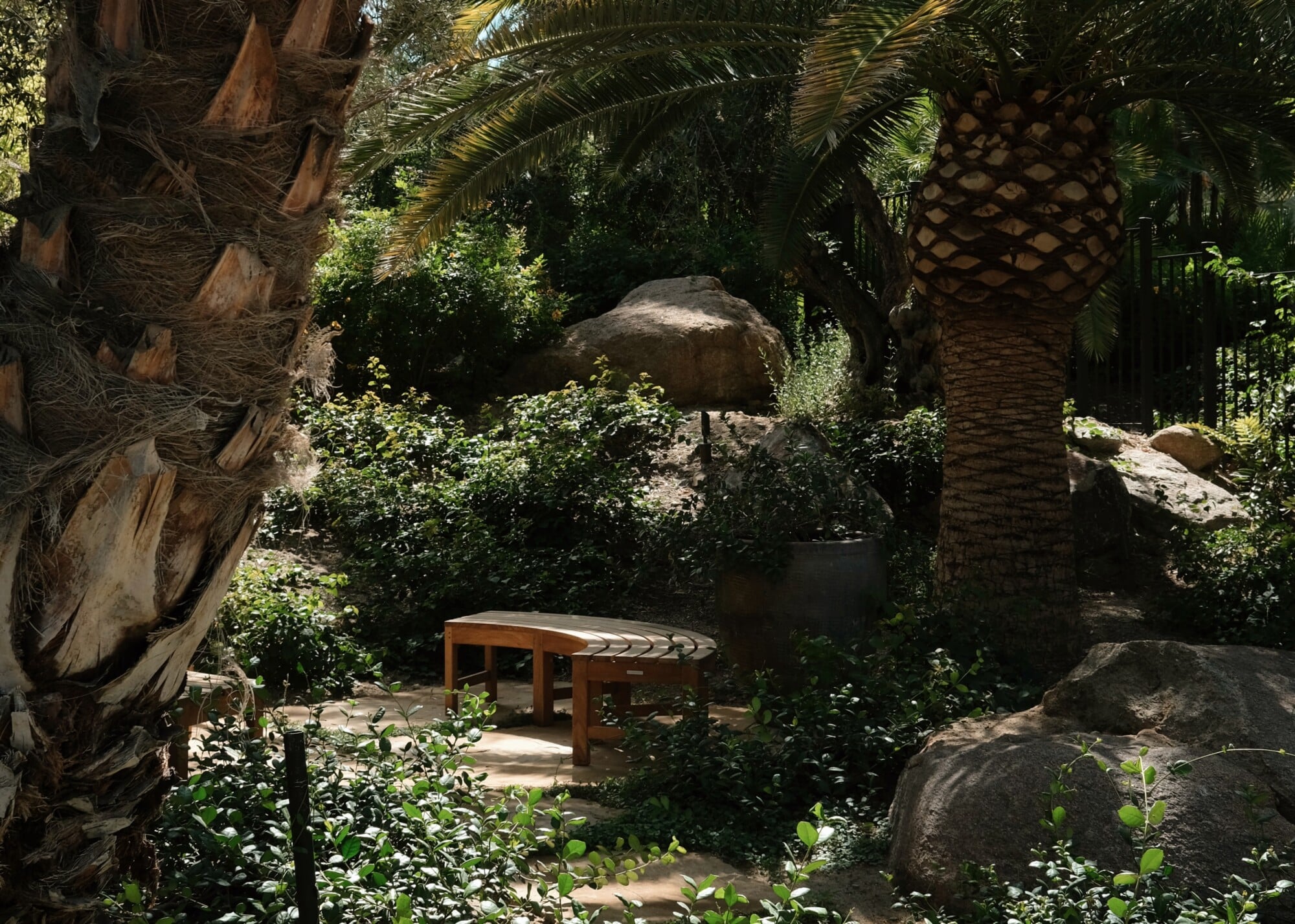 Sensei Porcupine Creek, North America — wooden bench nestled among desert boulders, palm trees, and native shrubs in a sunlit garden retreat.