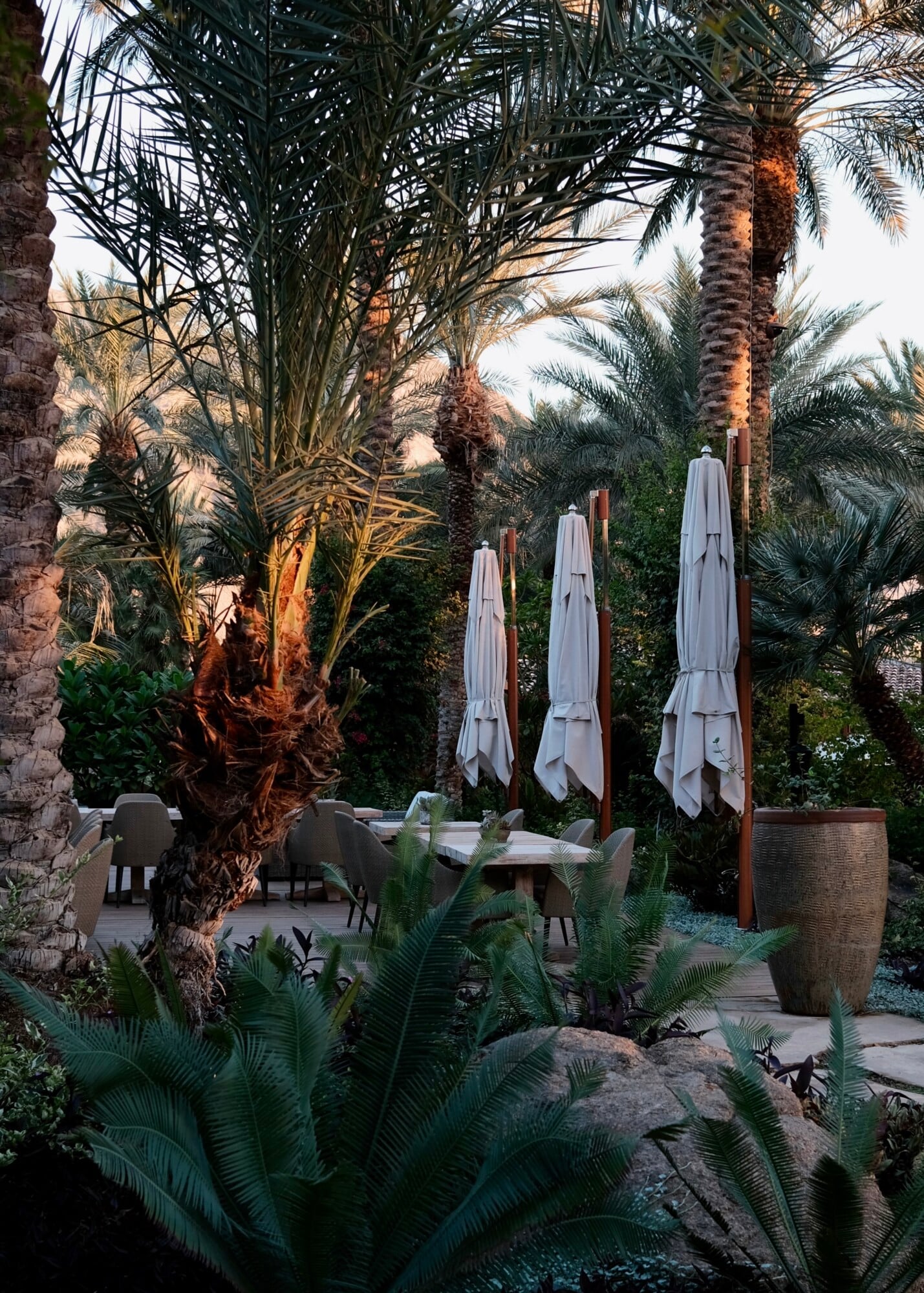 Sensei Porcupine Creek, North America — Poolside cabana lounge with rolled umbrellas, palm trees, and desert landscape at golden hour.