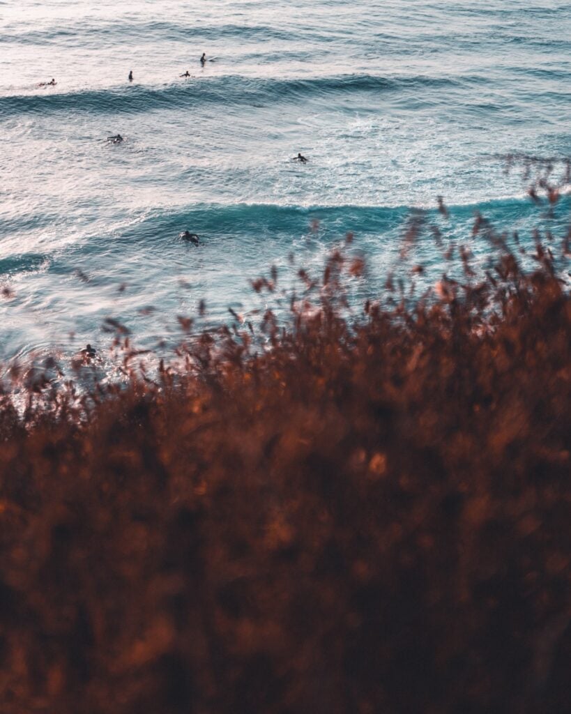 Aethos Group Surf Session — Surfers in turquoise ocean waves with dried coastal vegetation in foreground, golden hour light, European beach landscape.