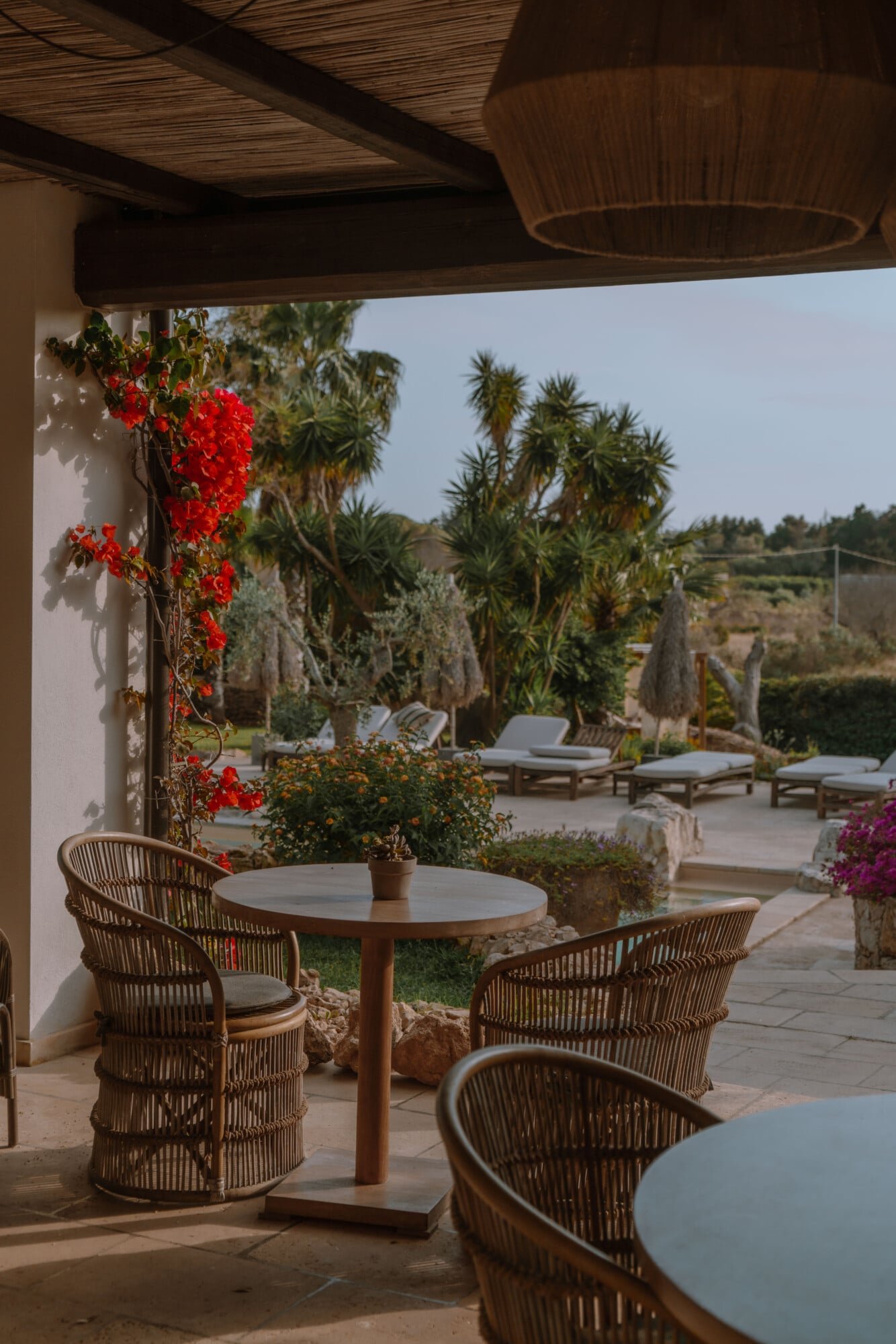 The Restaurant — Shaded terrace dining with woven rattan chairs, bougainvillea, palm trees, and loungers overlooking Mediterranean landscape at European luxury hospitality venue.