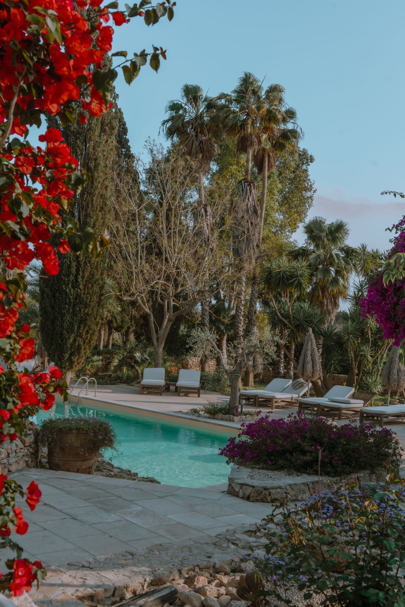 Tenuta Negroamaro, Europe — Turquoise pool surrounded by blooming bougainvillea, palm trees, and limestone terrace with lounge chairs under clear sky.