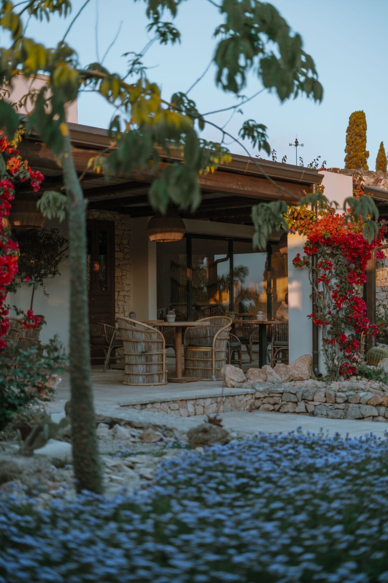 Tenuta Negroamaro, Europe — Modern stone courtyard with woven seating, red flowering vines, columnar cypress, and evening light on contemporary architecture.