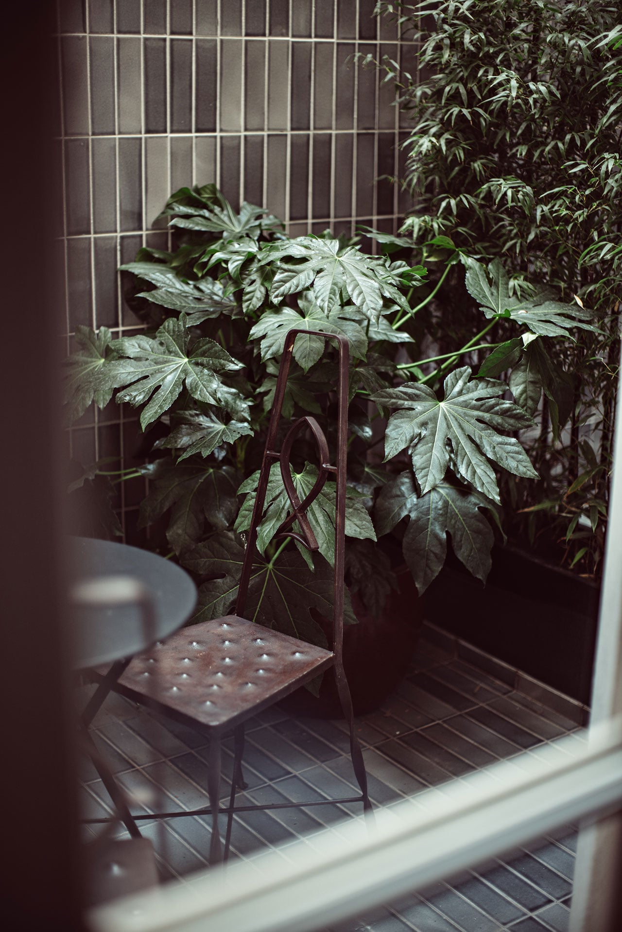 Académies et des Arts, Europe — Dark tiled courtyard with potted Japanese maple under metal trellis, minimalist chair casting shadows in moody natural light.