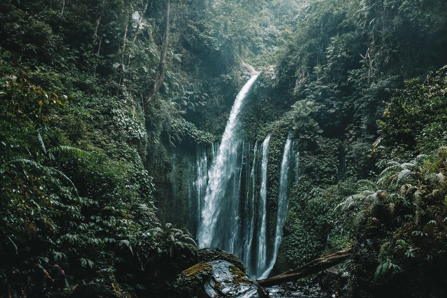 Tetebatu Waterfall, Asia — cascading waterfall framed by dense tropical forest canopy, moss-covered rocks, and verdant vegetation in moody natural light.