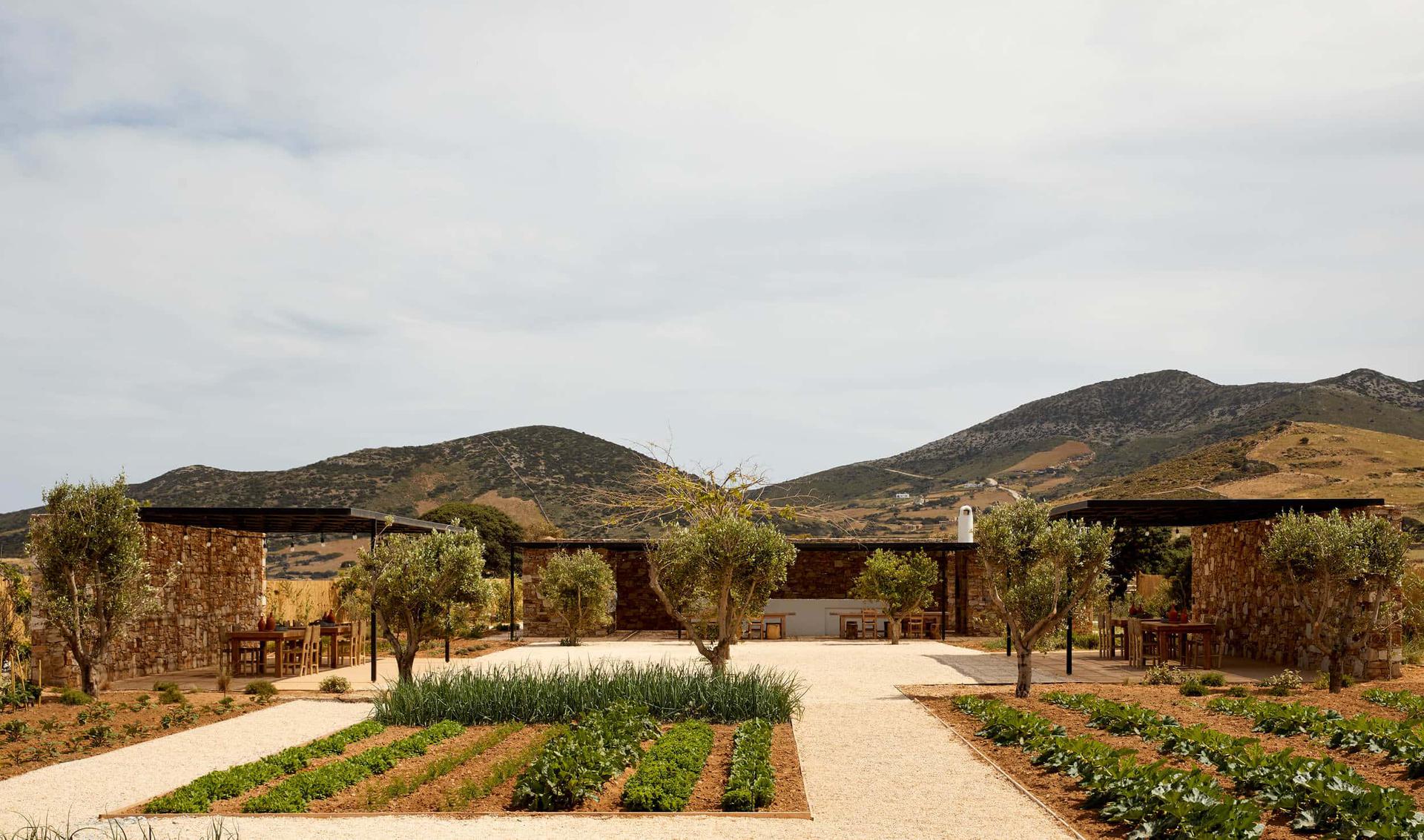 The Rooster, Europe — Courtyard with stone buildings, olive trees, and cultivated gardens beneath rolling hills under cloudy sky.