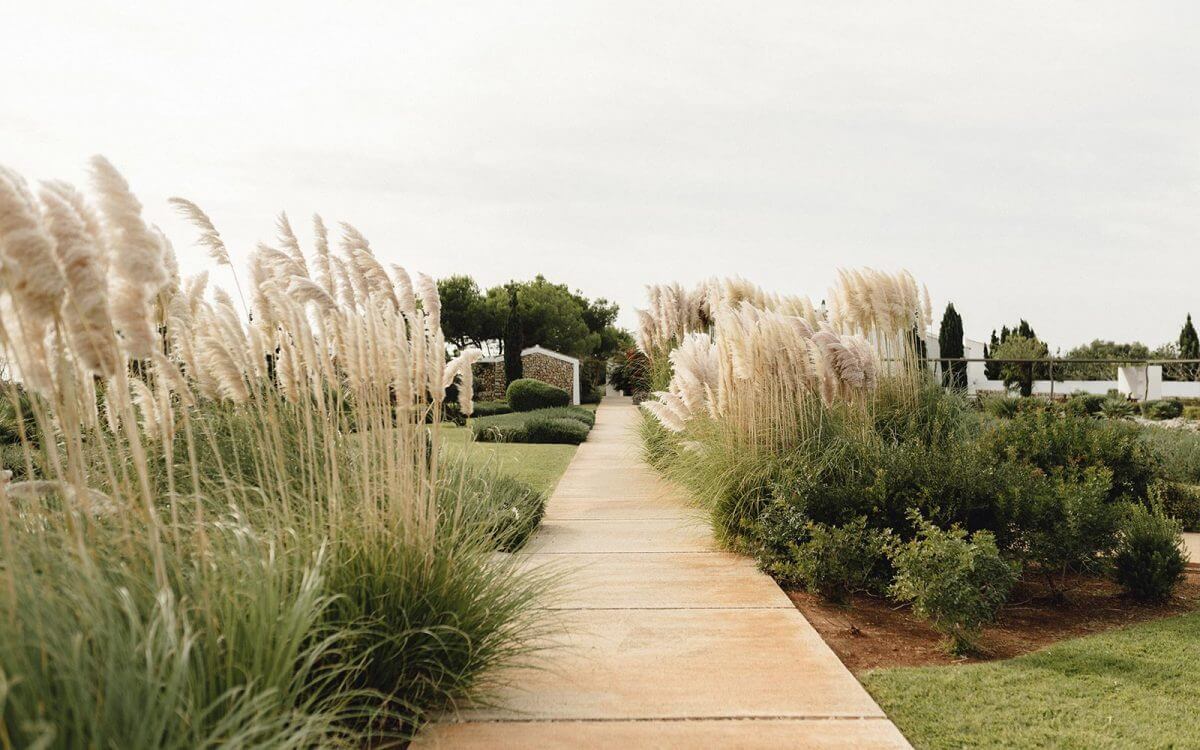 Torralbenc, Balearic Islands — Pampas grass-lined stone pathway through manicured gardens with cypress trees and Mediterranean landscape design