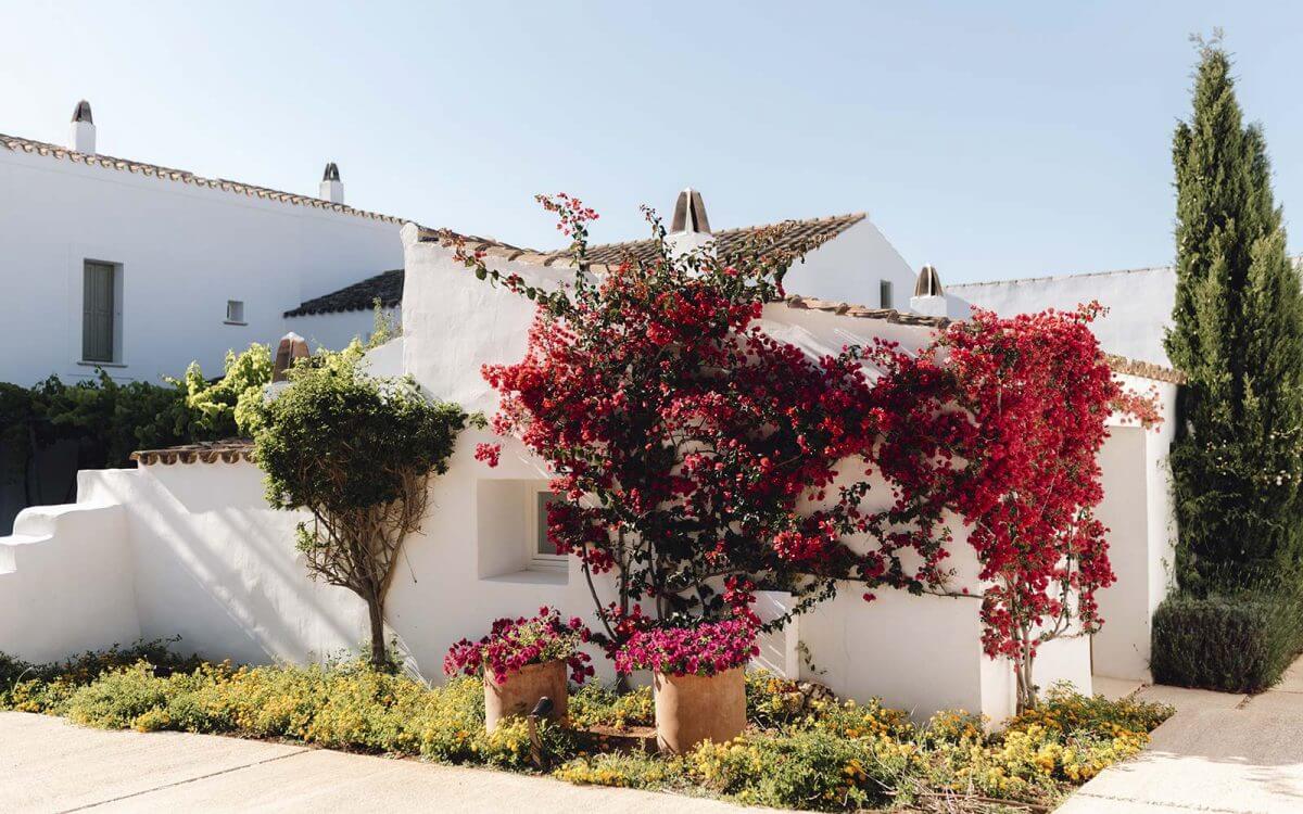 Torralbenc, Balearic Islands — White-walled Mediterranean villa with cascading magenta bougainvillea, cypress trees, and manicured yellow shrubs in sunlit courtyard.