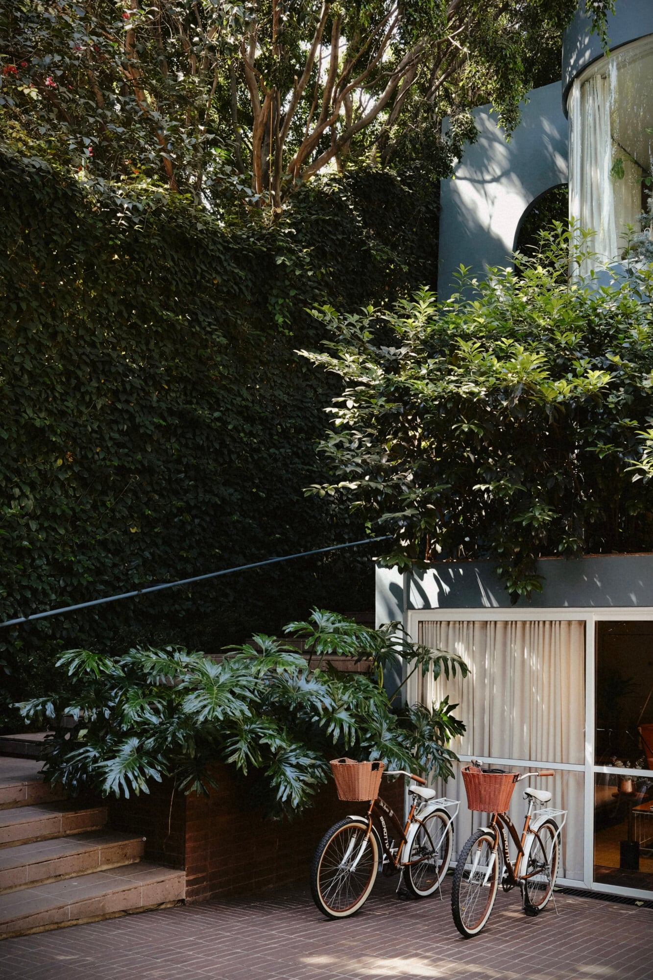 UMA Casa, Mexico — Sheltered courtyard with vintage bicycles, potted philodendron, timber deck, white modernist structure, and mature trees creating dappled shade.