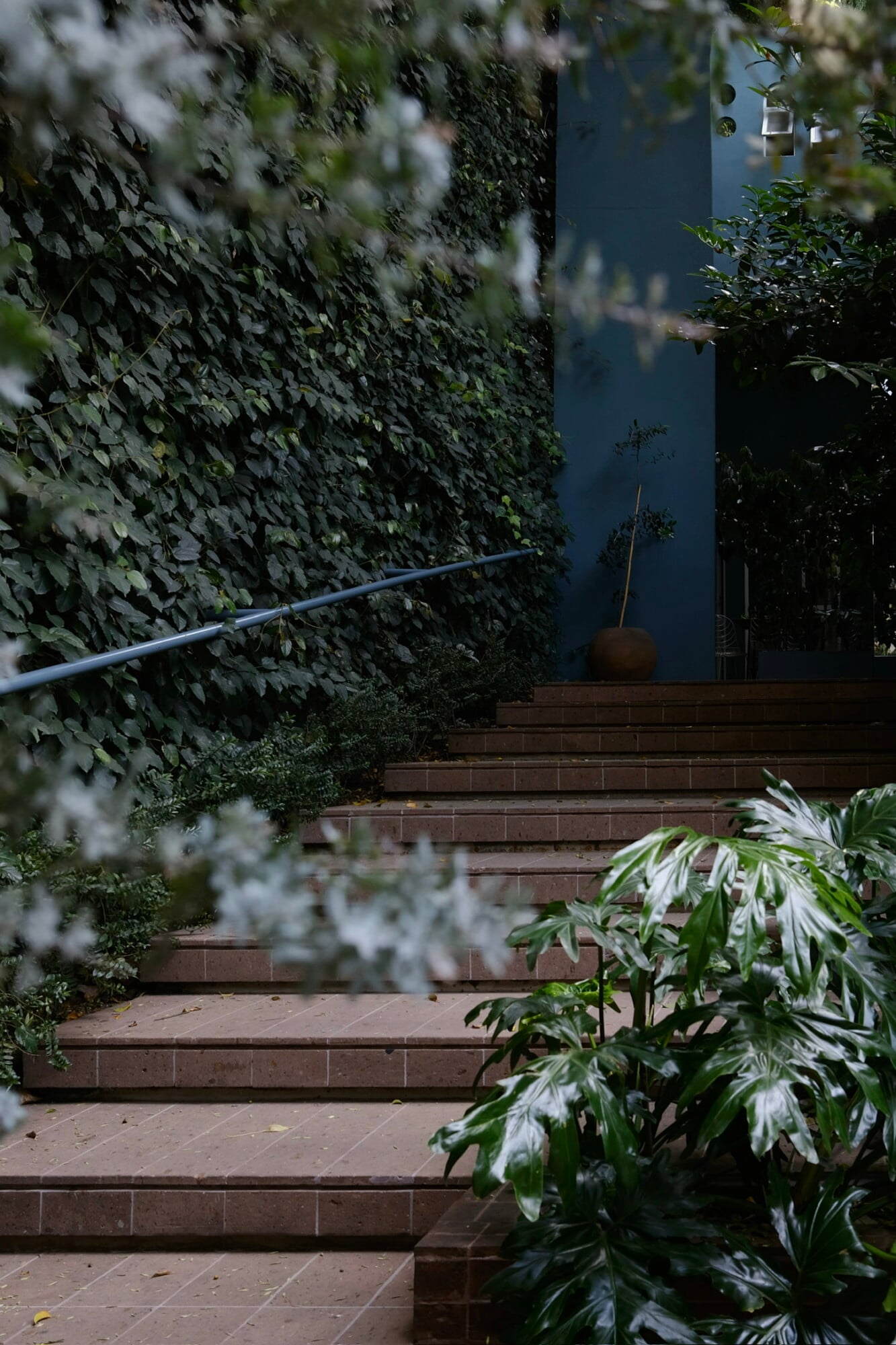 UMA Casa, Mexico — ivy-covered courtyard staircase with metal handrail, brick steps, potted plants, and modern dark building facade beyond.