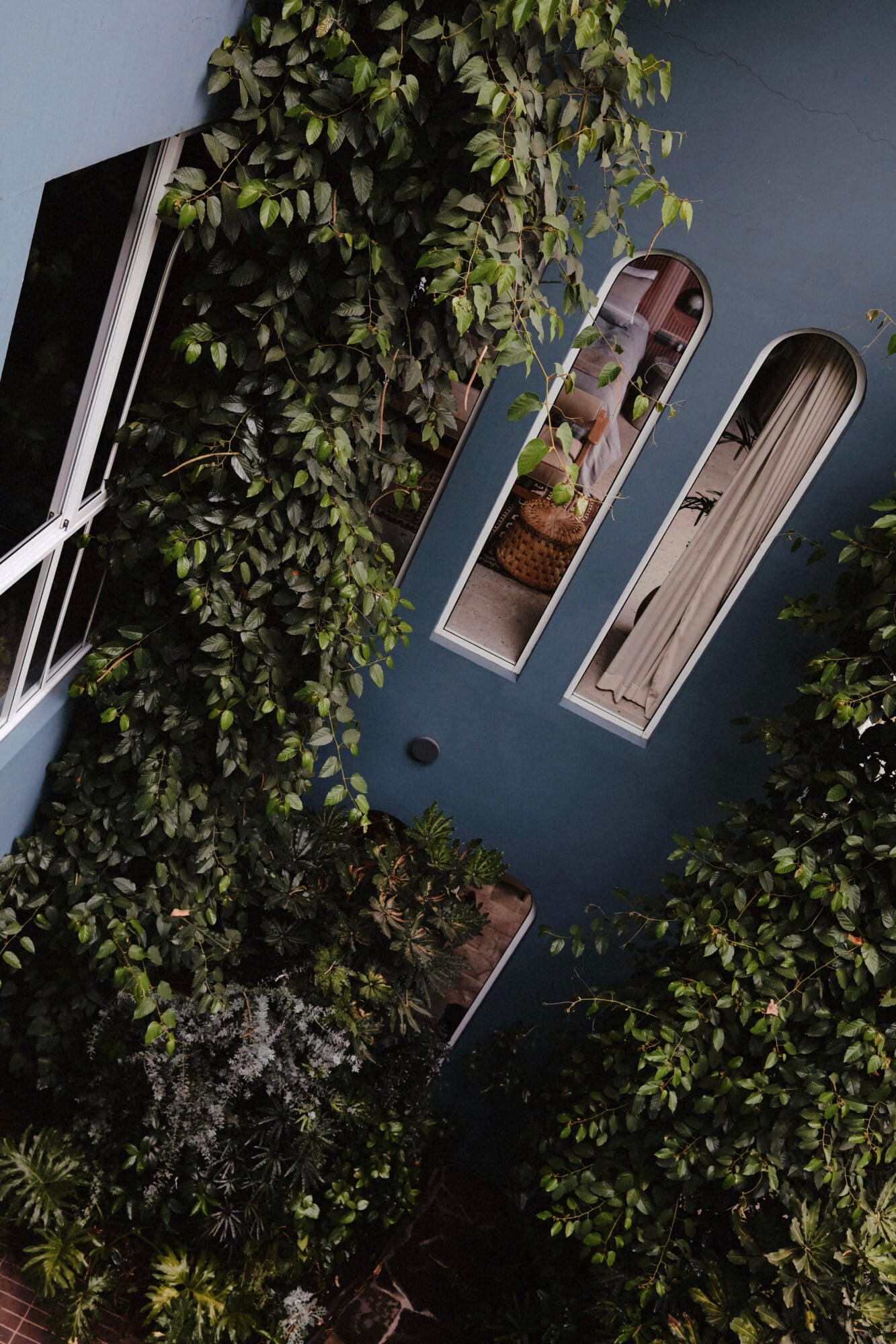 UMA Casa, Mexico — Blue facade with arched windows framed by cascading ivy and potted plants, viewed from above in natural daylight.