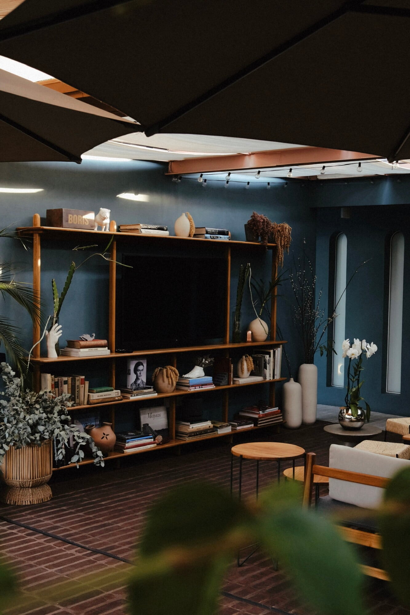UMA Casa, Mexico — Modern interior with teak shelving, dark blue walls, sculptural objects, dried botanicals, and retractable black ceiling panels creating sophisticated hospitality design.