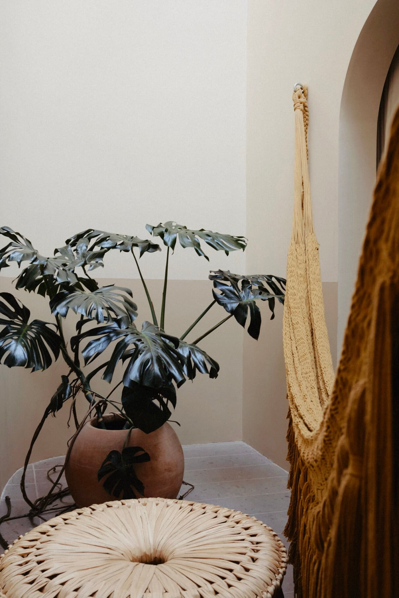 UMA Casa, Mexico — Textured woven basket, terracotta plant pot with black-leafed philodendron, macramé wall hanging, minimalist hospitality interior design detail.