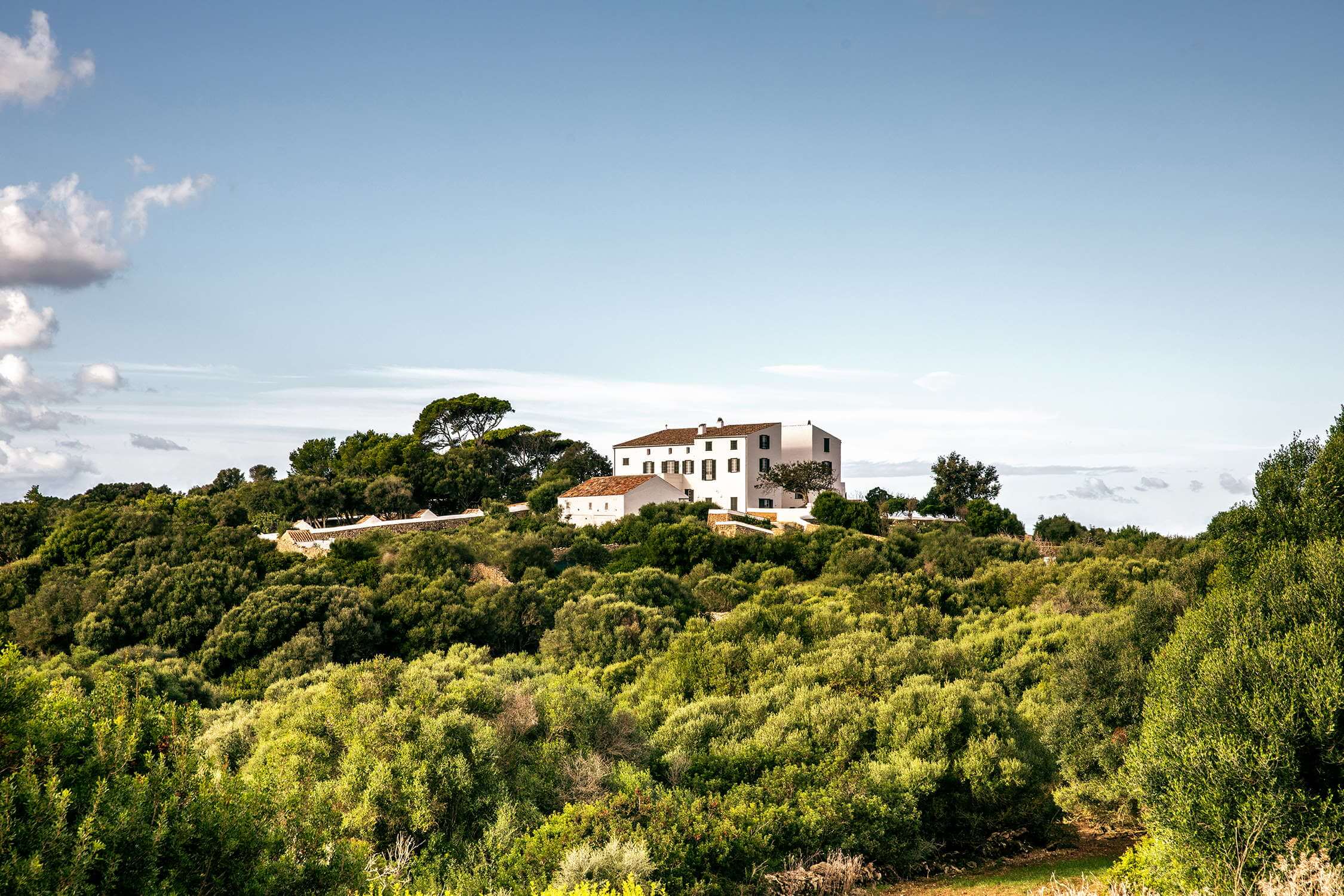 Es Bec d’Aguila — Es Bec d'Aguila, Balearic Islands, Spain — Mediterranean villa on hillside with olive groves, stone and whitewashed architecture, natural light, serene landscape.