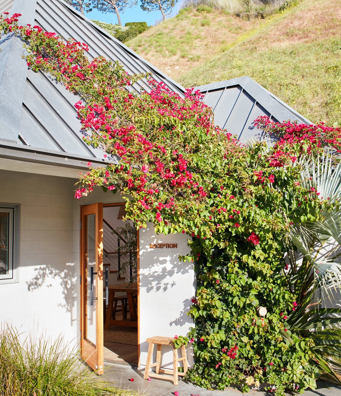The Surfrider, North America — Coastal modern architecture with vibrant bougainvillea climbing white facade, wooden door, metal roof, hillside landscape.