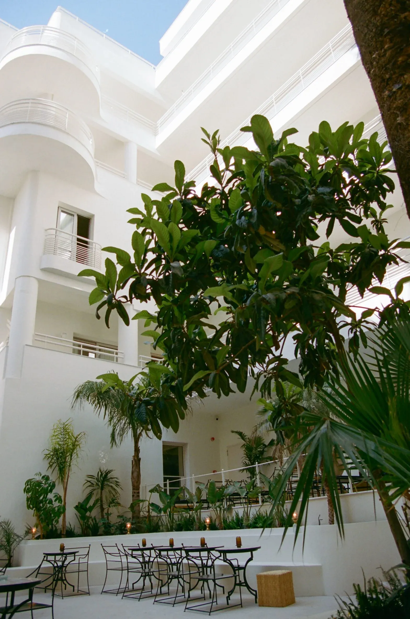 Apollo Palm, Europe — Courtyard with curved white modernist architecture, lush tropical plants, metal dining chairs, and natural skylight illuminating the minimalist interior atrium.