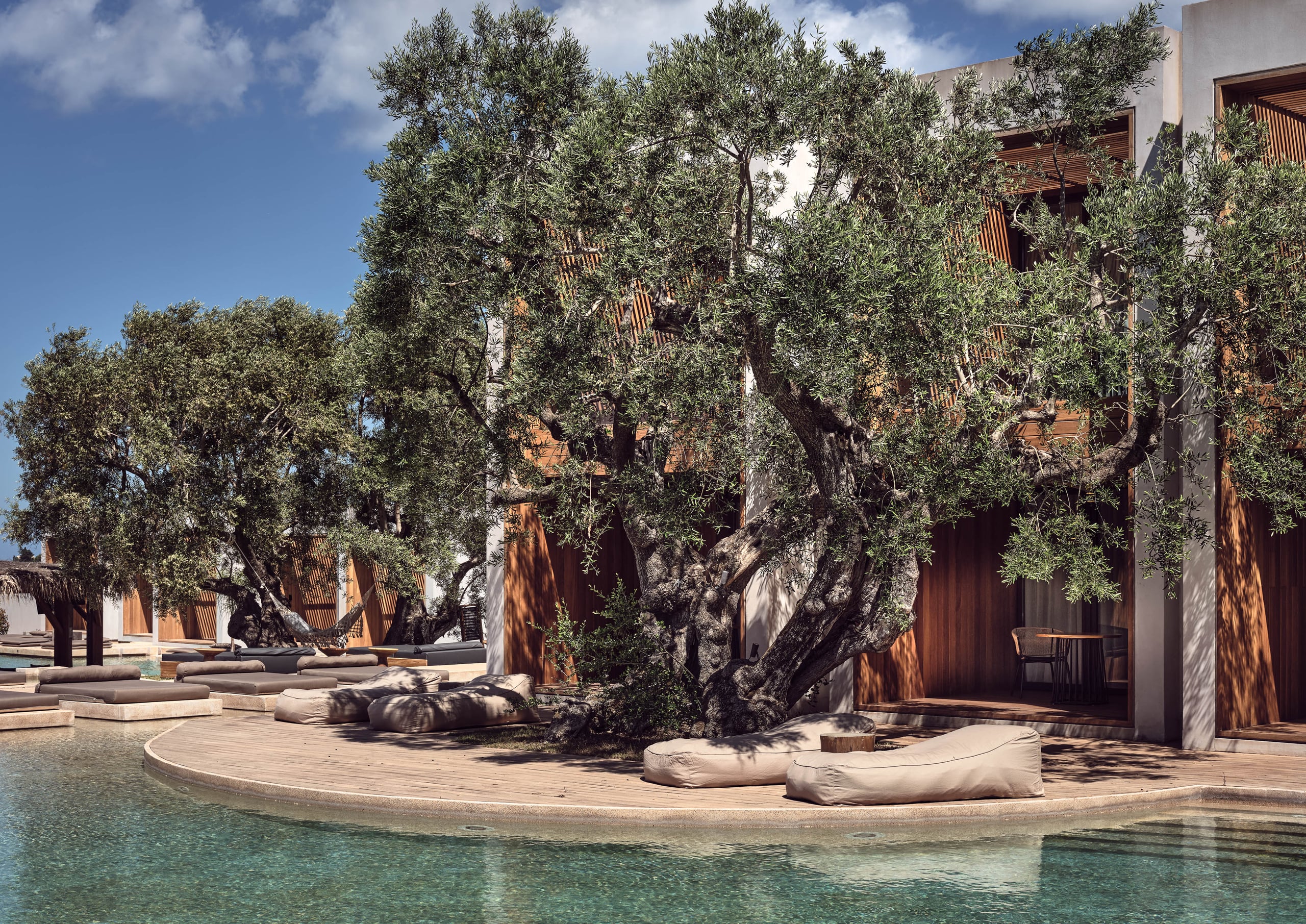 Olea All Suite Hotel, Europe — Ancient olive trees frame a sunlit courtyard with wooden deck, stone seating, and modernist architecture overlooking turquoise water.