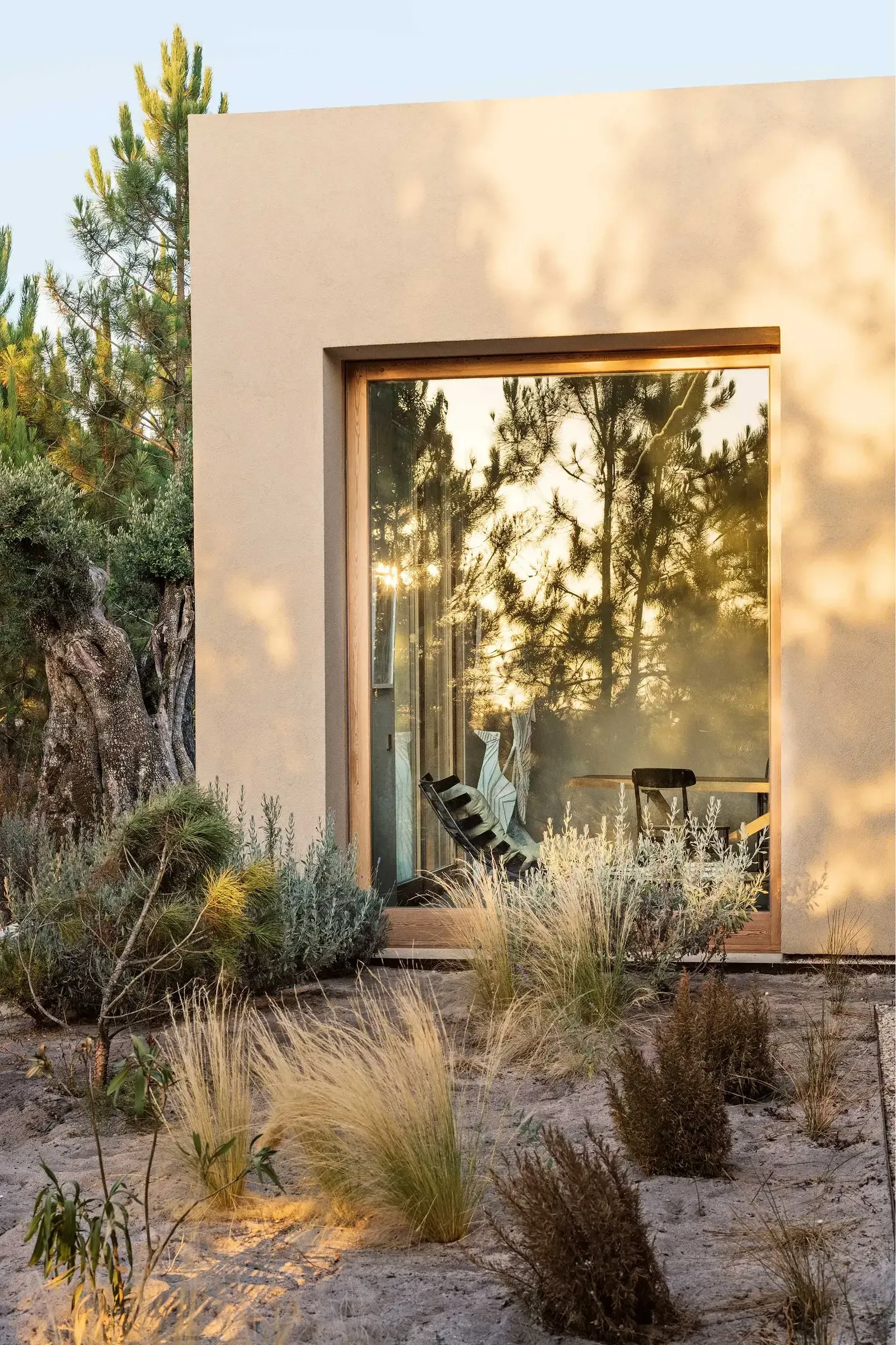 Melides Art, Portugal — Minimalist stucco pavilion with oversized glazing, desert landscaping, and golden-hour light casting tree shadows on cream facade.
