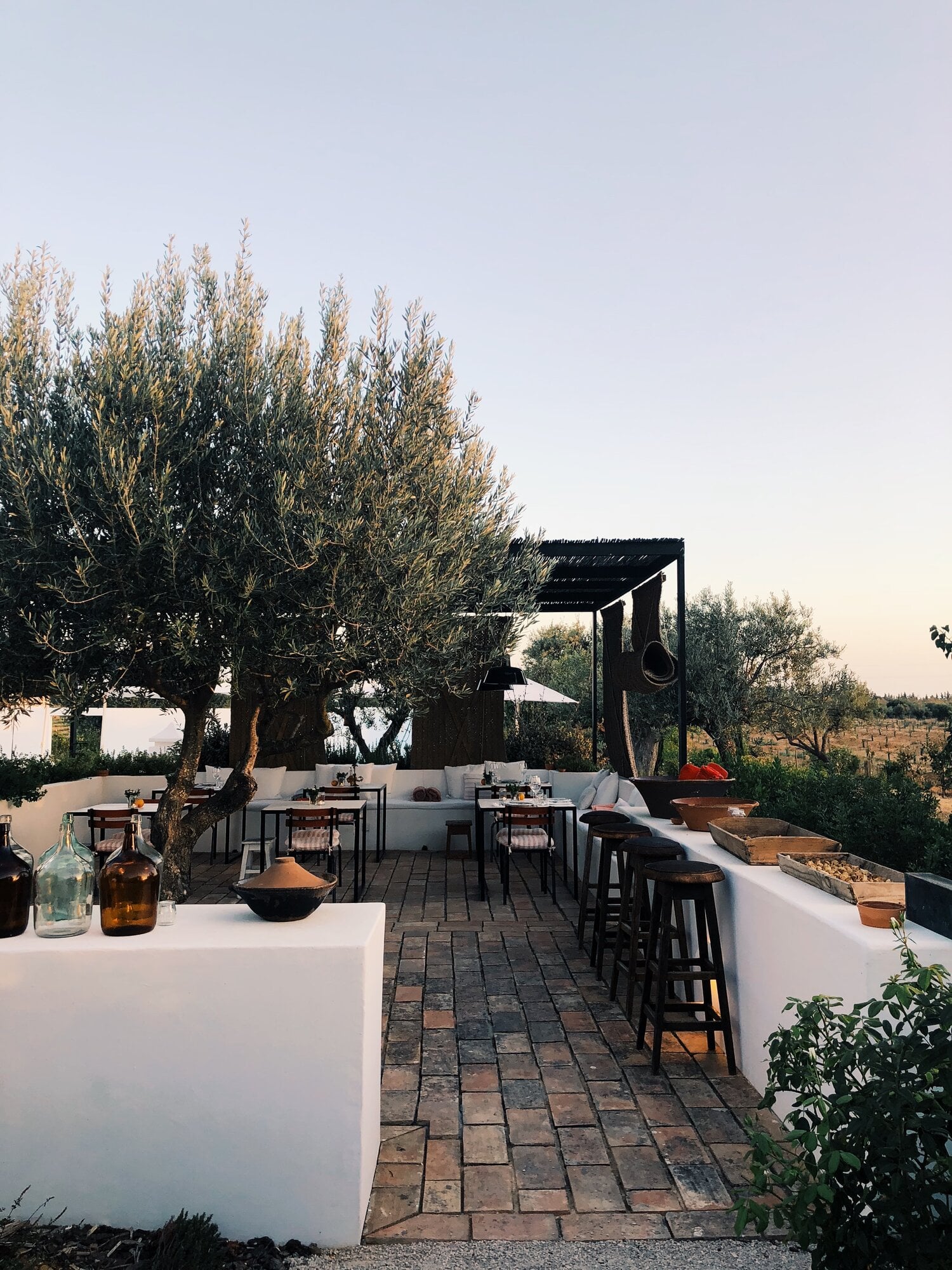 Pensão Agrícola, Europe — Terrace with olive trees, black pergola, white walls, terracotta tiles, dining tables, warm Mediterranean light at dusk.