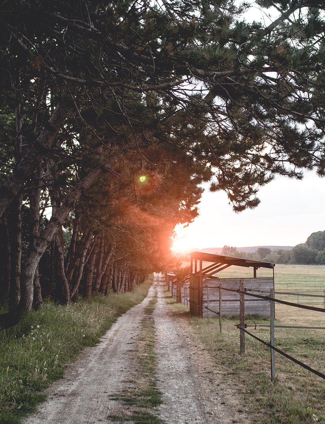 Le Barn, Europe — Tree-lined gravel driveway with wooden ranch gate at golden hour sunset, pastoral fields and hills beyond.