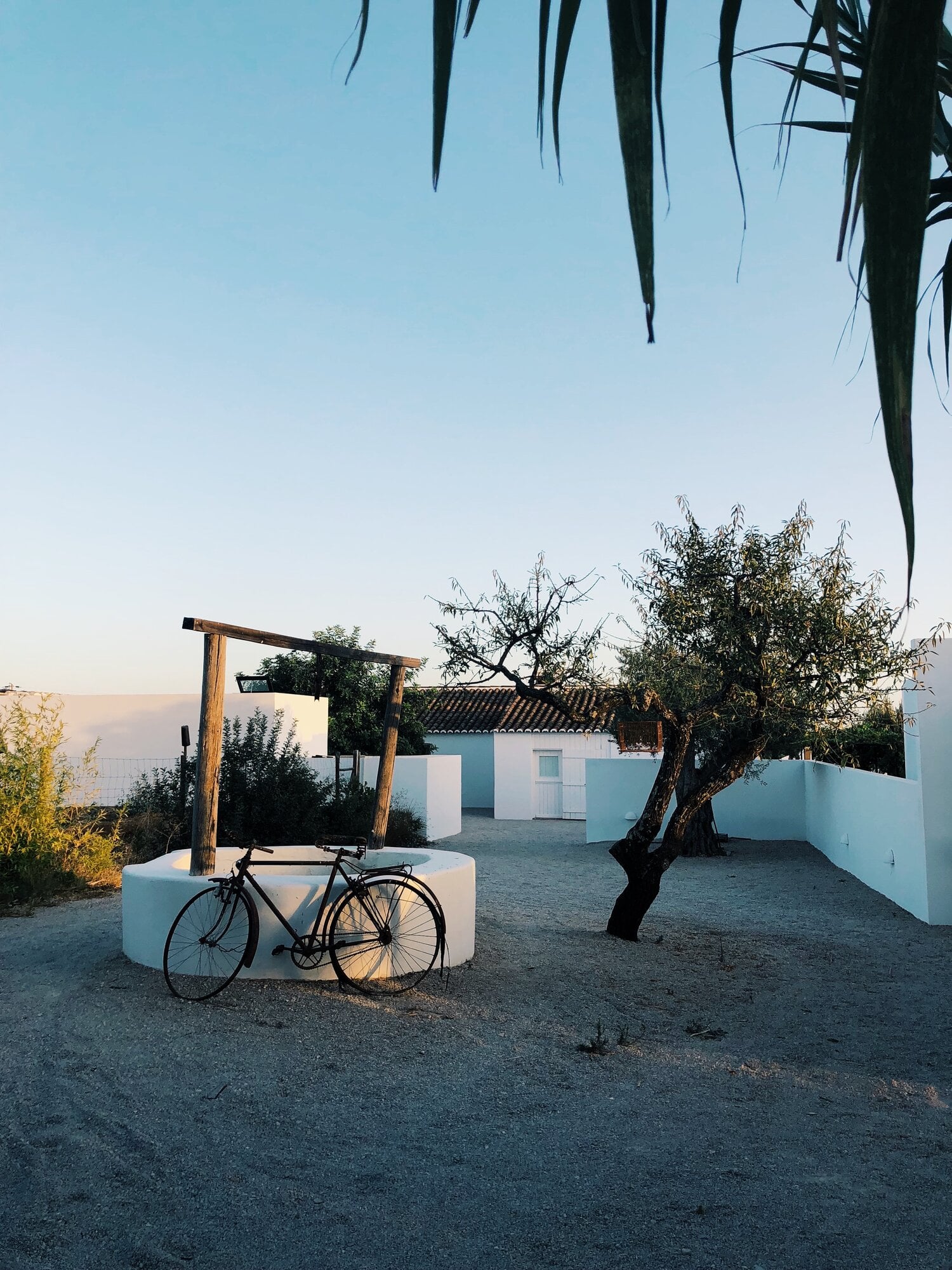 Pensão Agrícola, Europe — Whitewashed courtyard with vintage bicycle, gnarled olive tree, and minimalist architecture at golden hour.