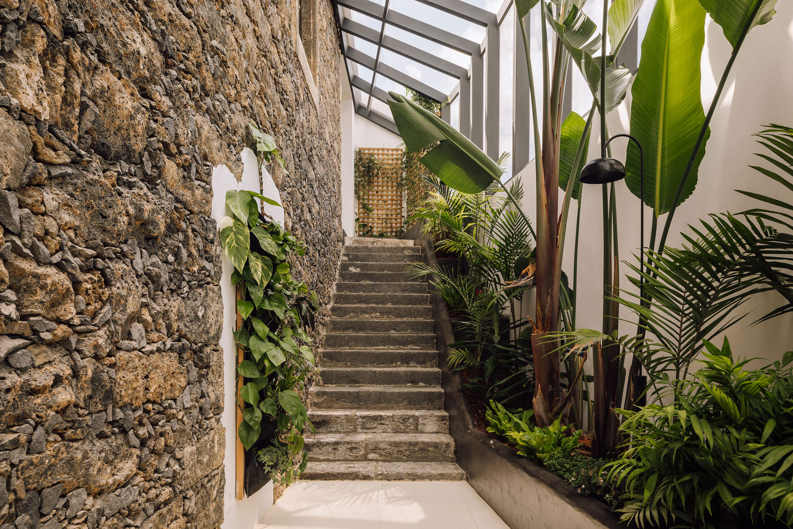 White Hotel, Europe — Stone staircase with climbing ivy, tropical plants, and skylight in minimalist interior courtyard.