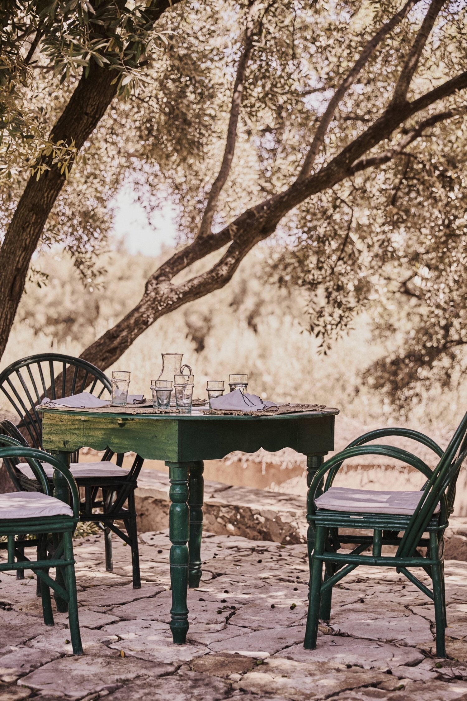 Berber Lodge, Africa — Green wicker chairs beneath flowering tree canopy, water glasses on wooden table, dappled sunlight on stone terrace.