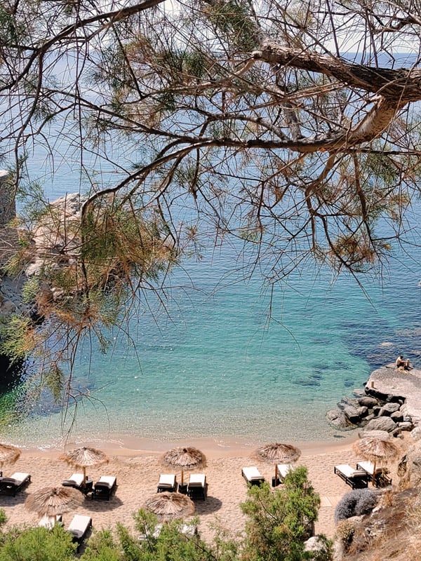 The Wild, Europe — Turquoise Mediterranean cove with sandy beach, thatched umbrellas, loungers, and overhanging tree branches framing crystalline waters.