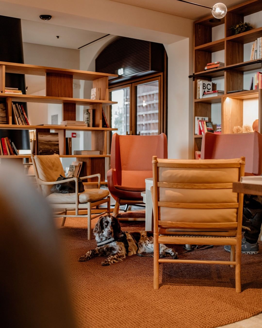 Casa di Langa, Europe — Mid-century modern lounge with warm wood shelving, tangerine leather chairs, natural light, and spaniel resting on terracotta tile flooring.