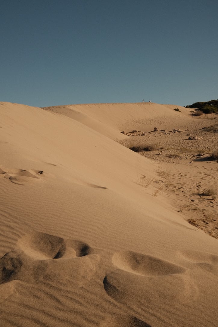 Patara Sand Dunes, Asia — Golden sand dunes with wind-carved ridges and sparse vegetation under clear sky, minimalist desert landscape.