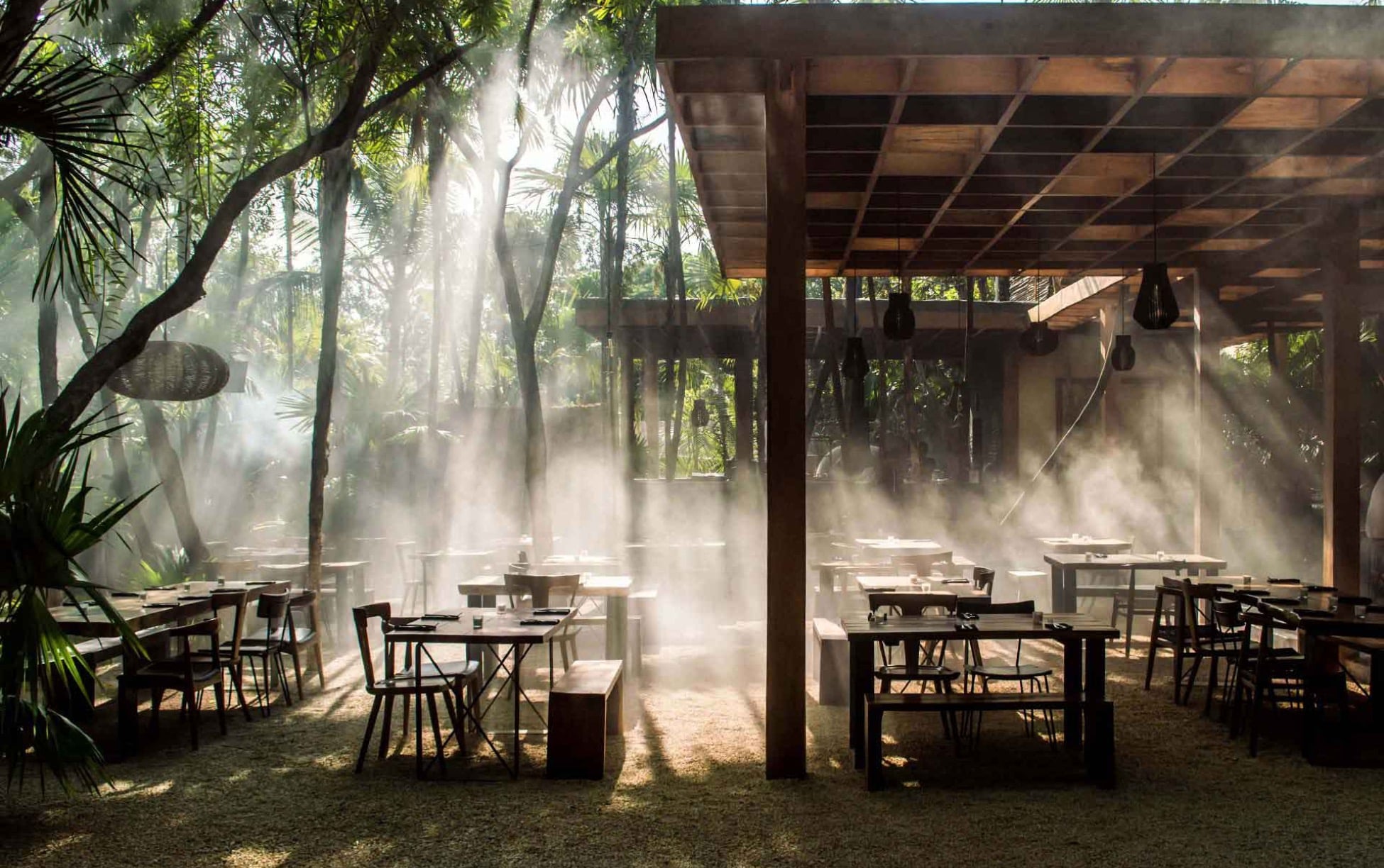Arca, Mexico — Covered dining pavilion with wooden beams and tables surrounded by misty tropical forest and palm trees, natural light filtering through mist.