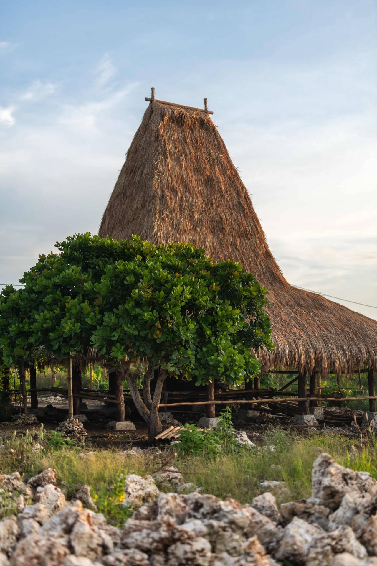 Cap Karoso, Asia — Thatched-roof structure with wooden cross beams beside green tree, limestone rocks foreground, tropical architecture detail.