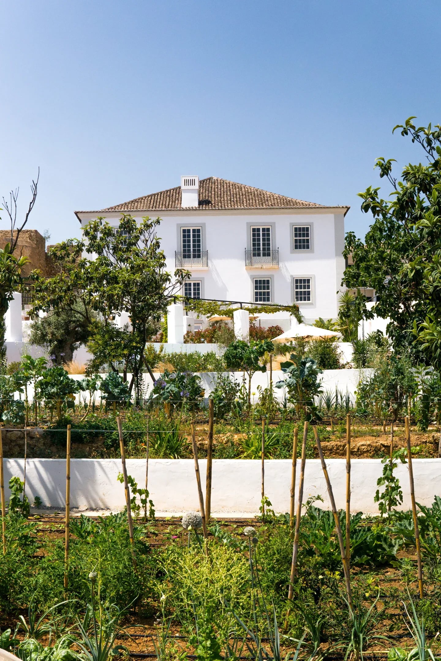 Casa Mãe, Europe — Whitewashed manor with terracotta roof overlooking vegetable garden and terraced grounds under clear sky.